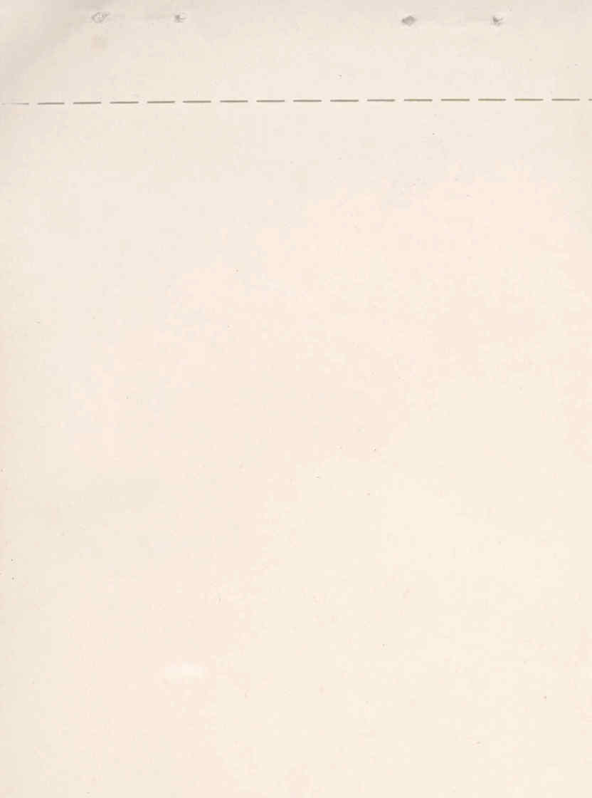 09616.002- pag.81