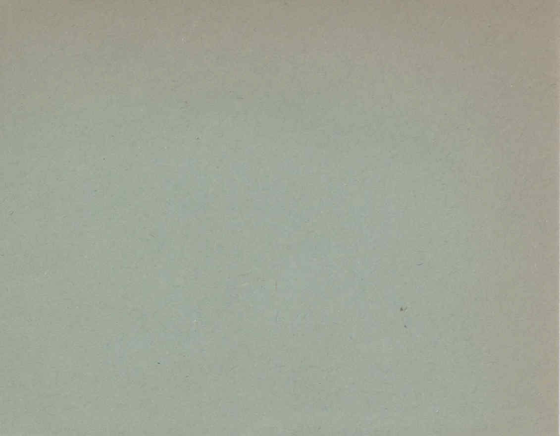 09617.002.007- pag.8