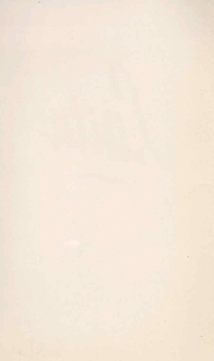 09617.002.007- pag.14