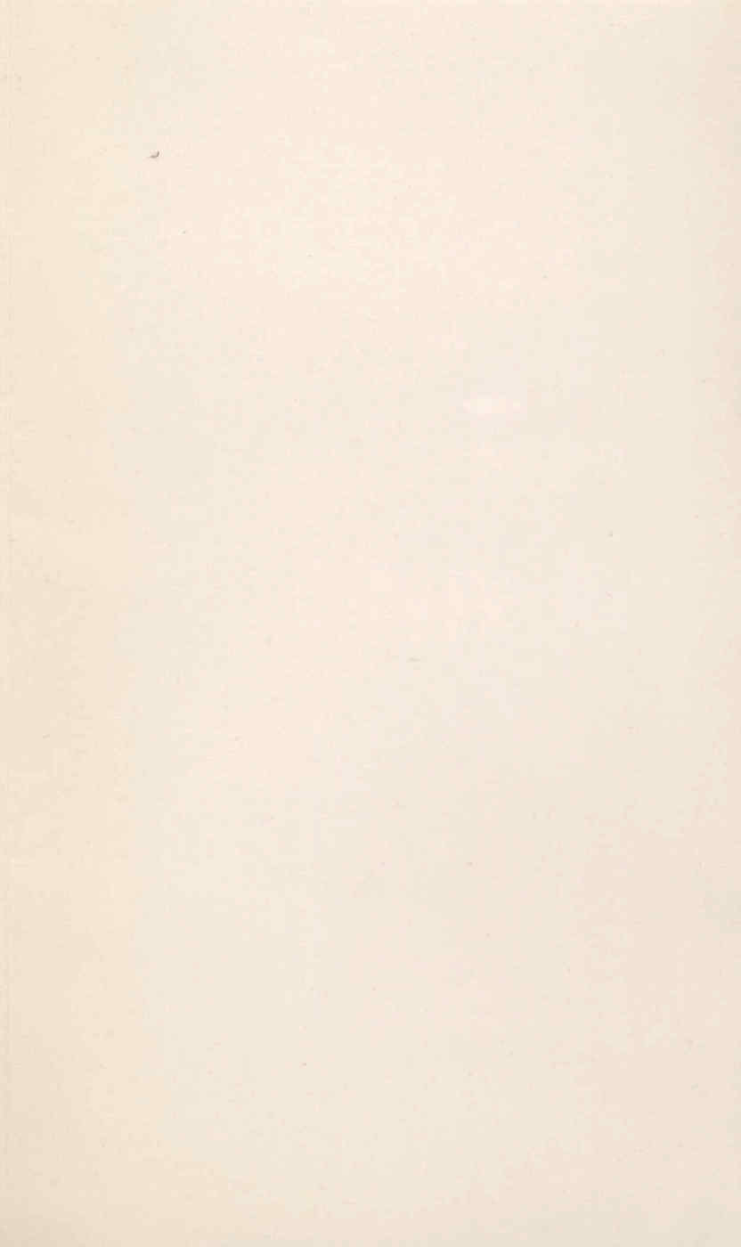09617.002.007- pag.19