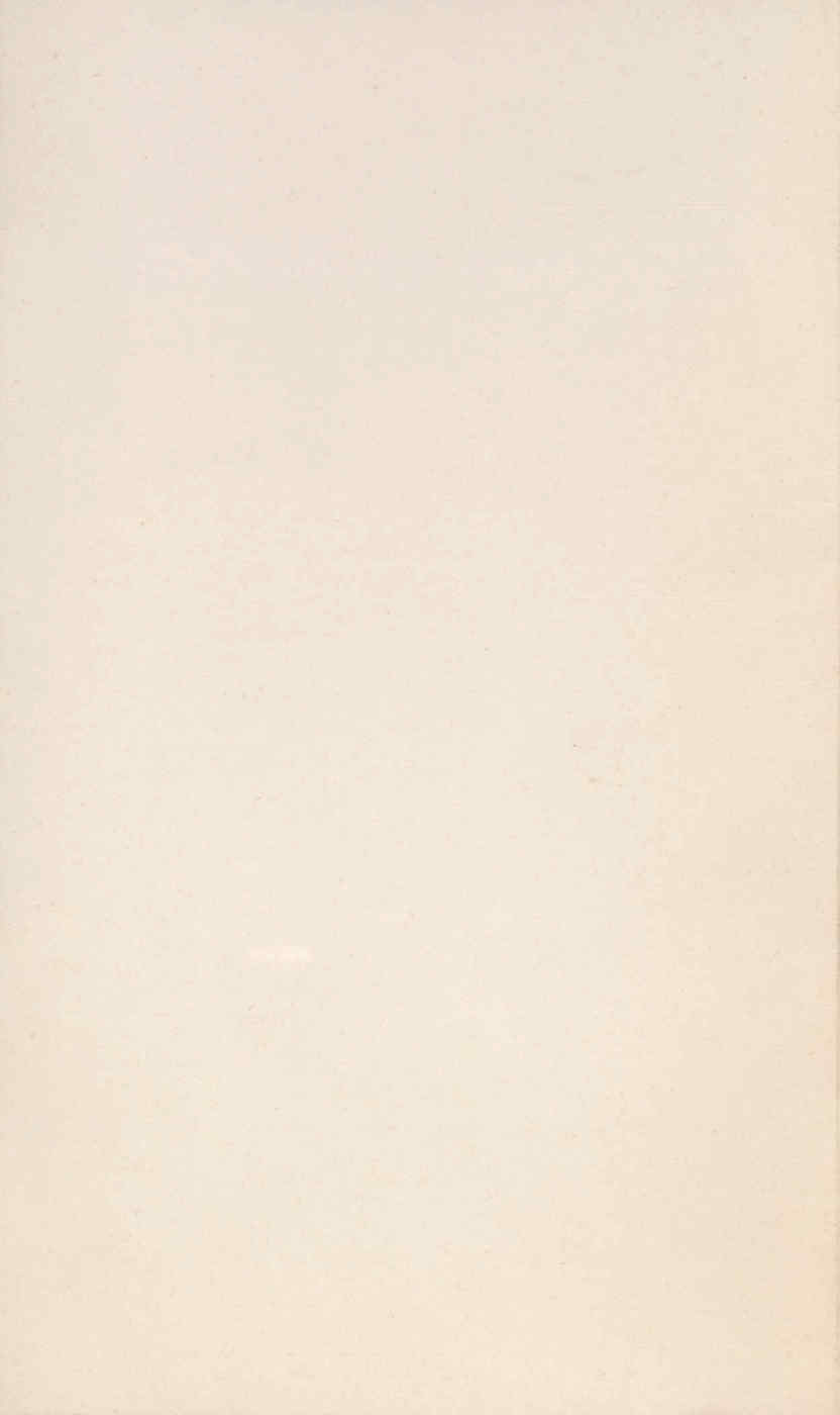 09617.002.007- pag.20