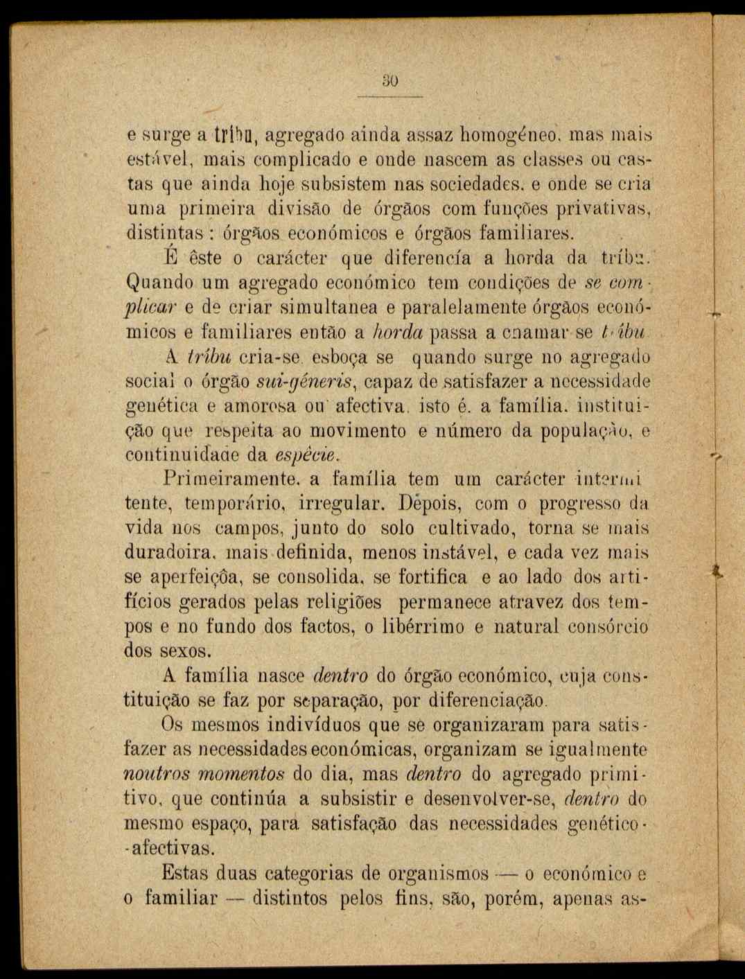 09777.008- pag.31