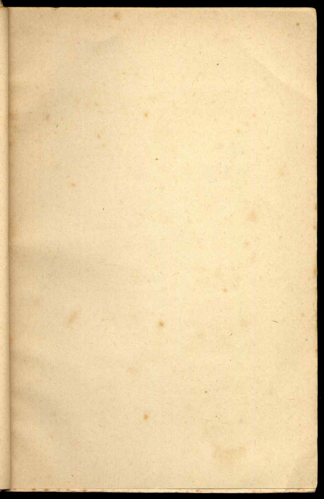 09816.010- pag.93