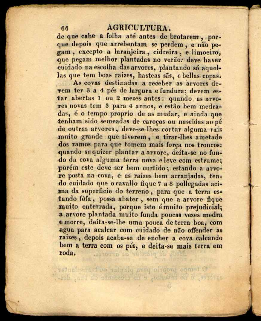 09834.001- pag.66
