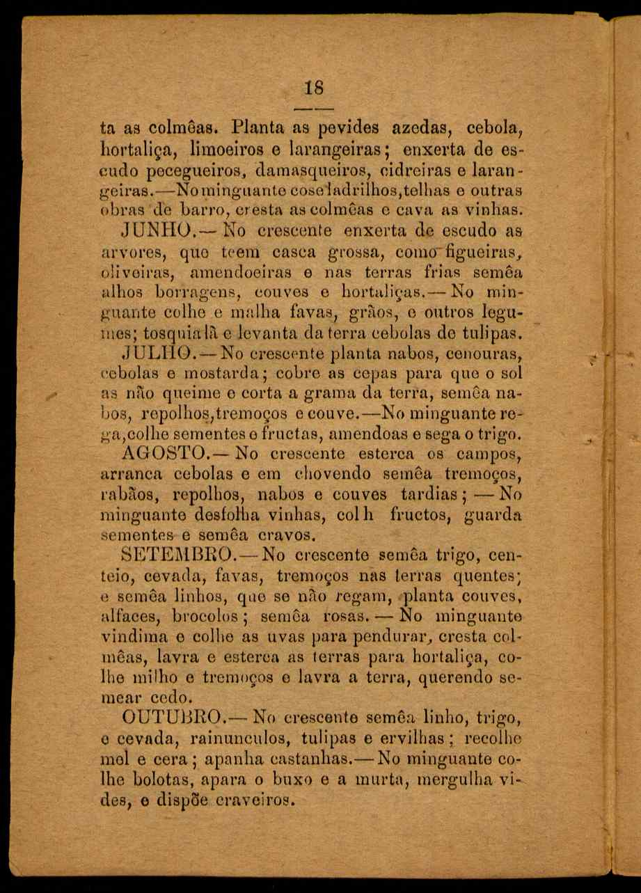 09834.003- pag.20