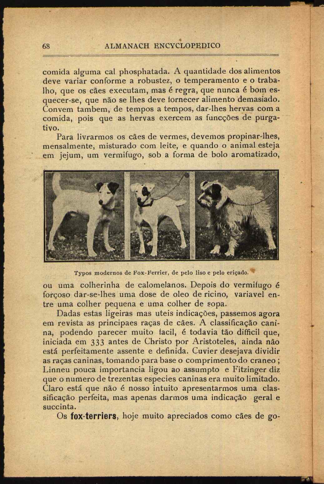 09834.013- pag.102