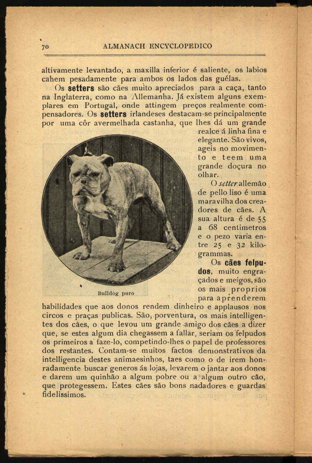09834.013- pag.104