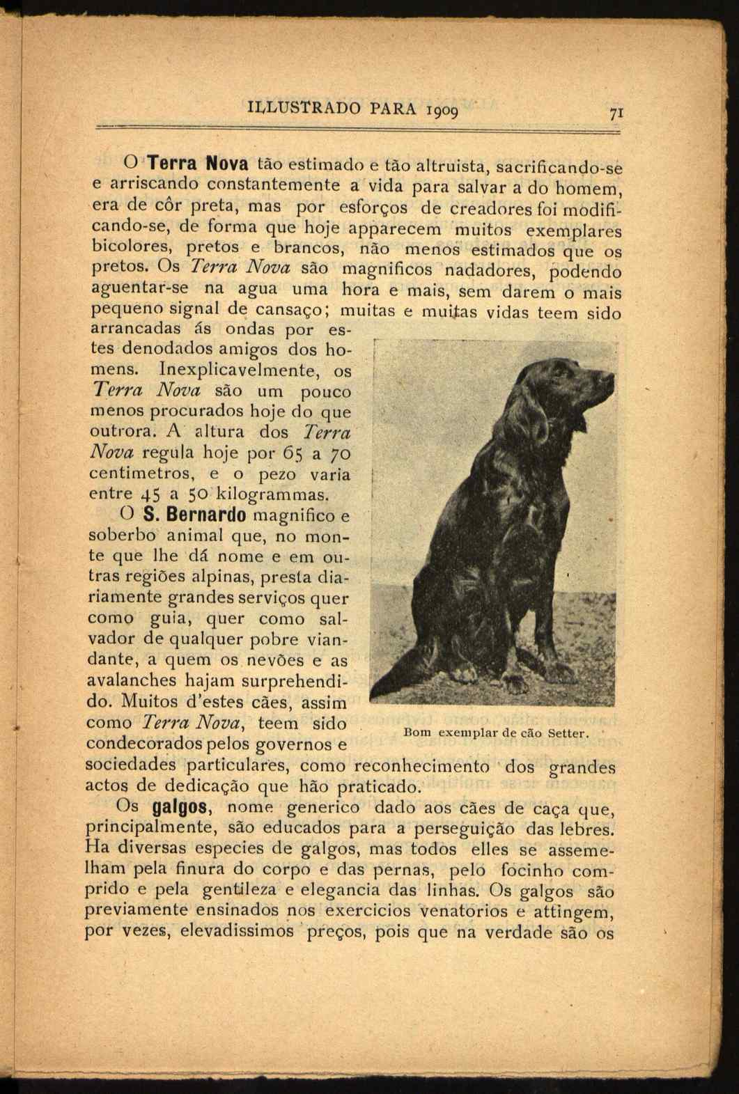 09834.013- pag.105