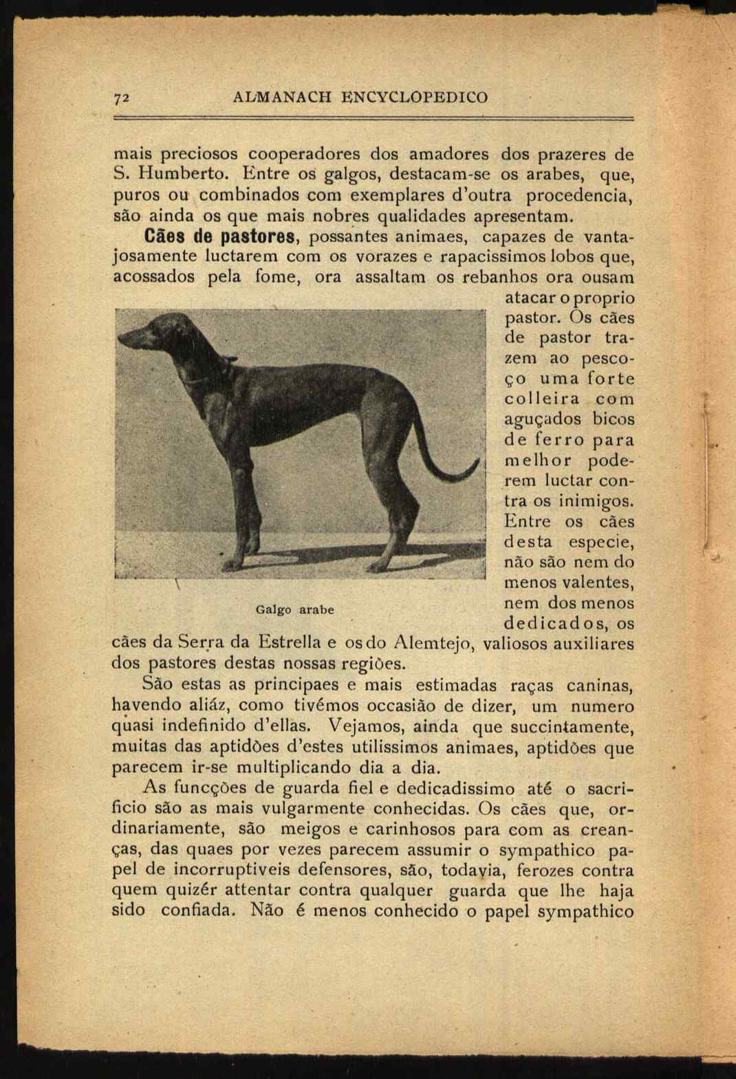 09834.013- pag.106