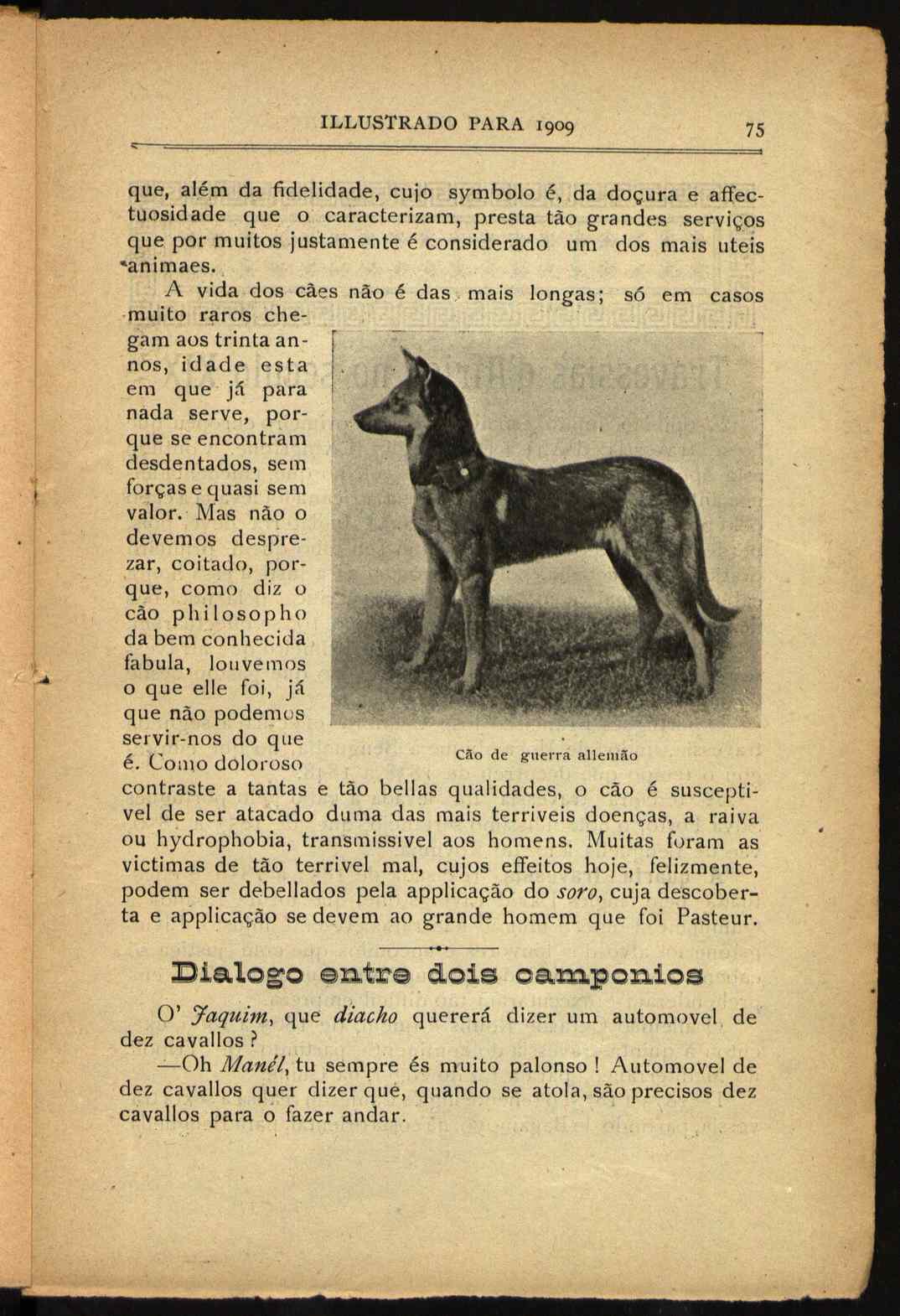 09834.013- pag.109