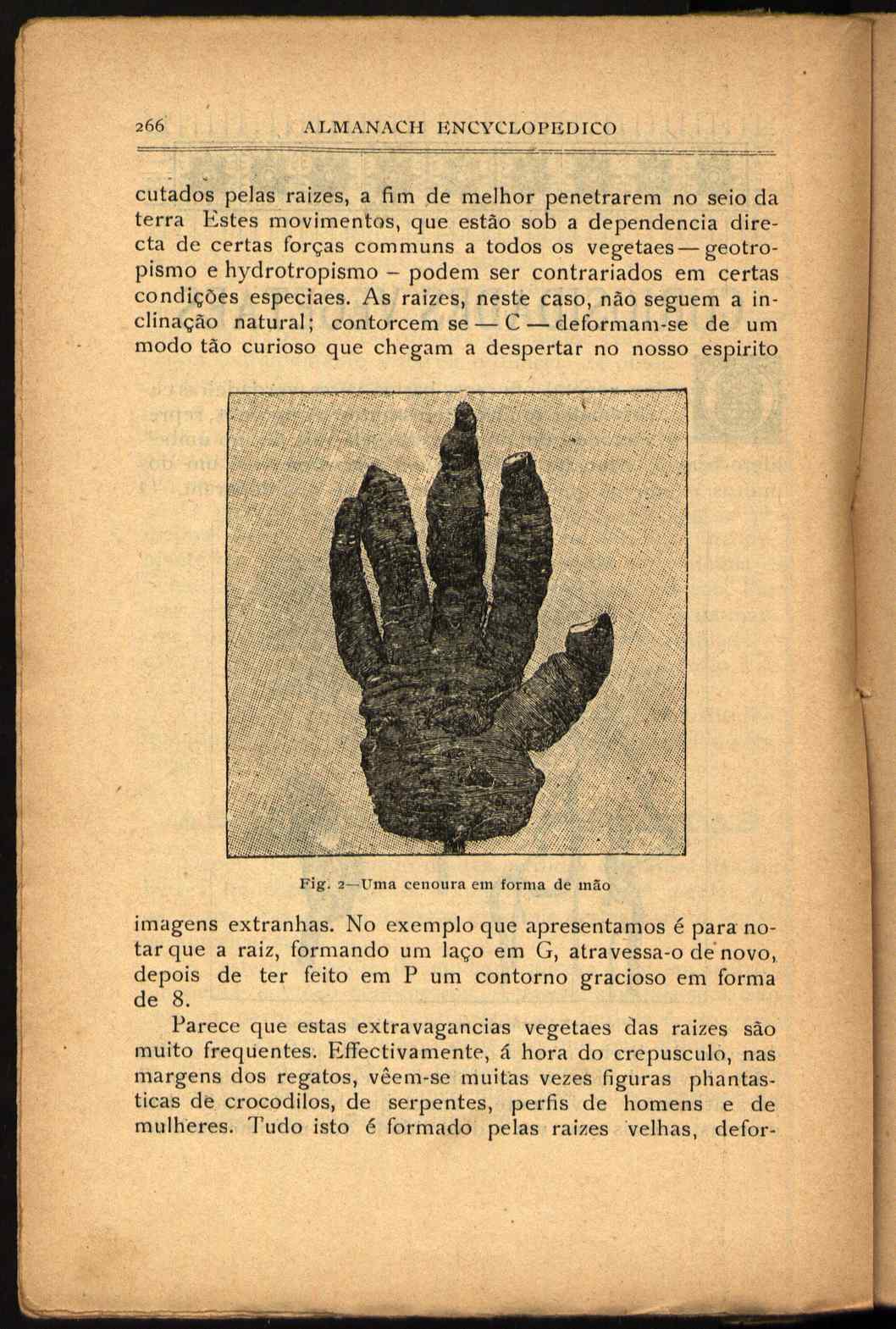 09834.013- pag.300