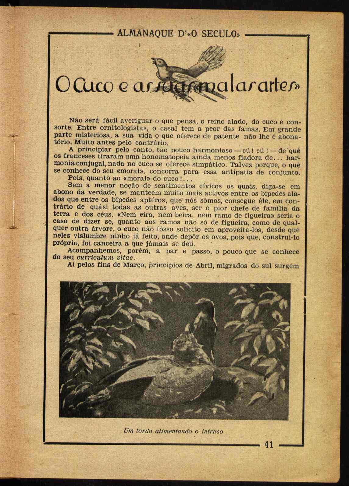 09835.004- pag.41