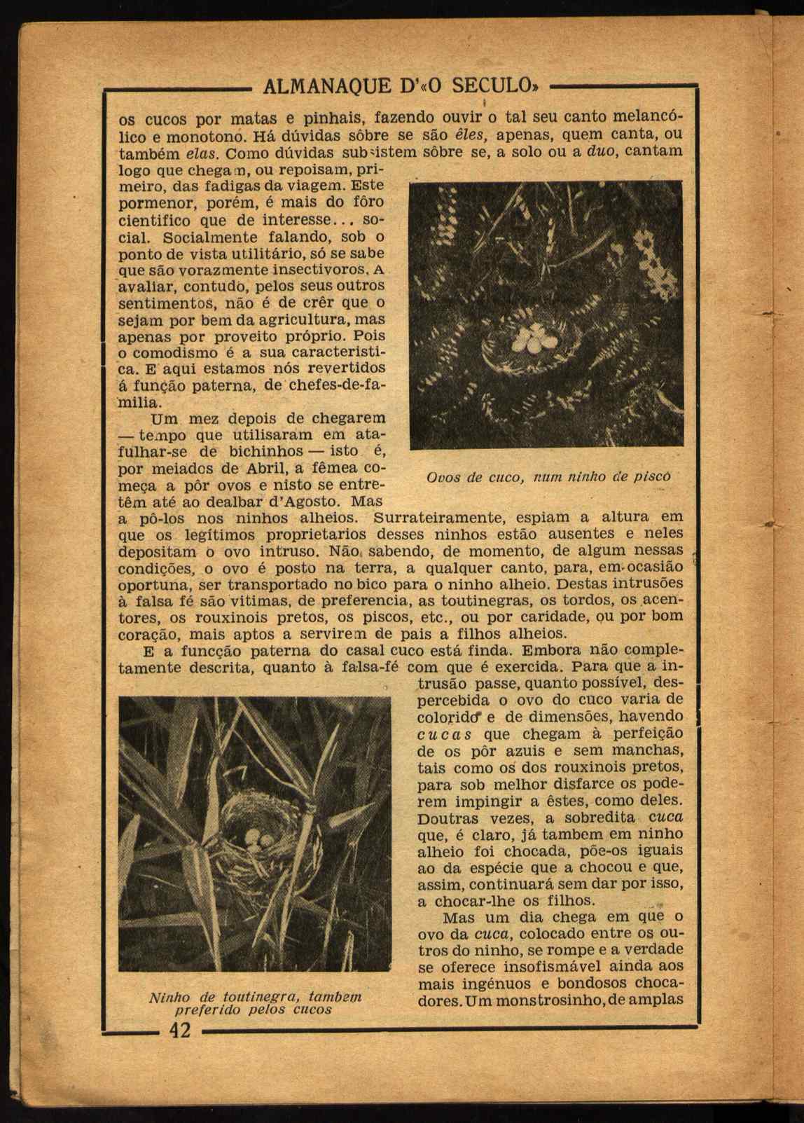 09835.004- pag.42