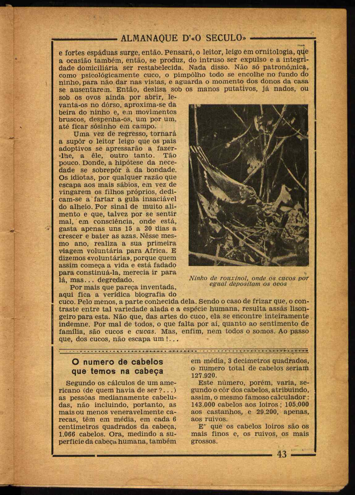 09835.004- pag.43