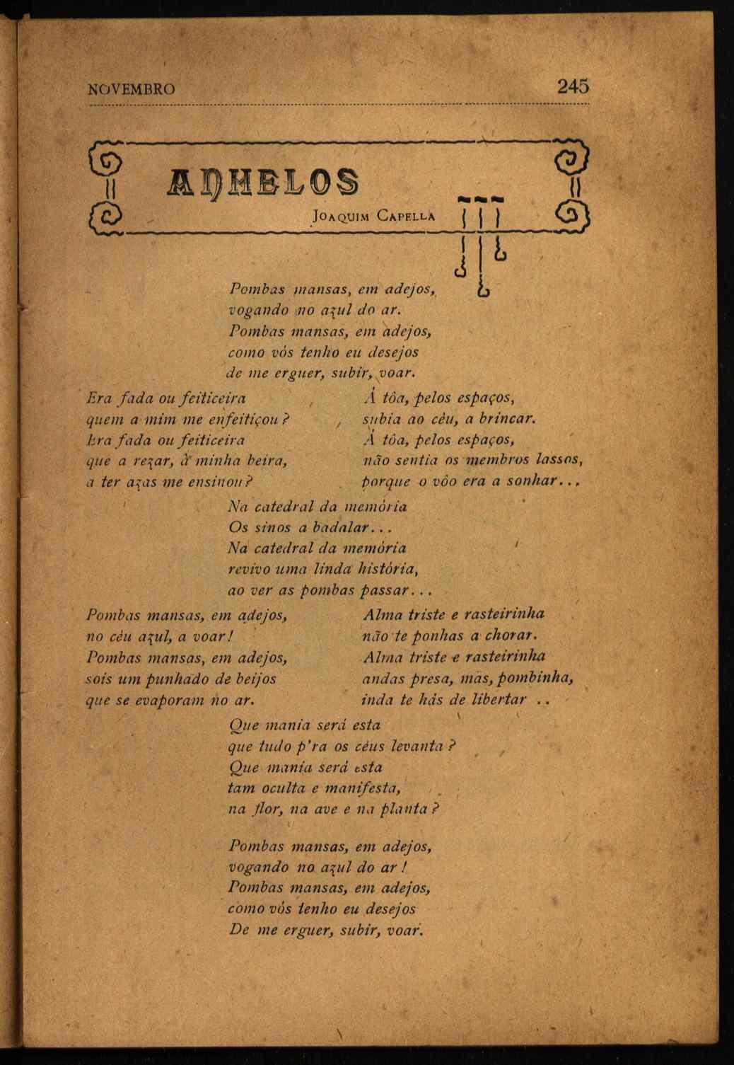 09835.006- pag.251