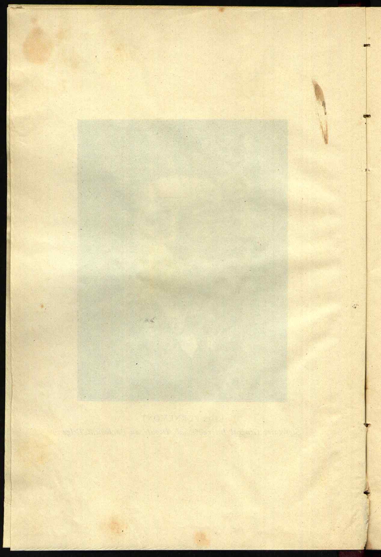 09835.008- pag.7
