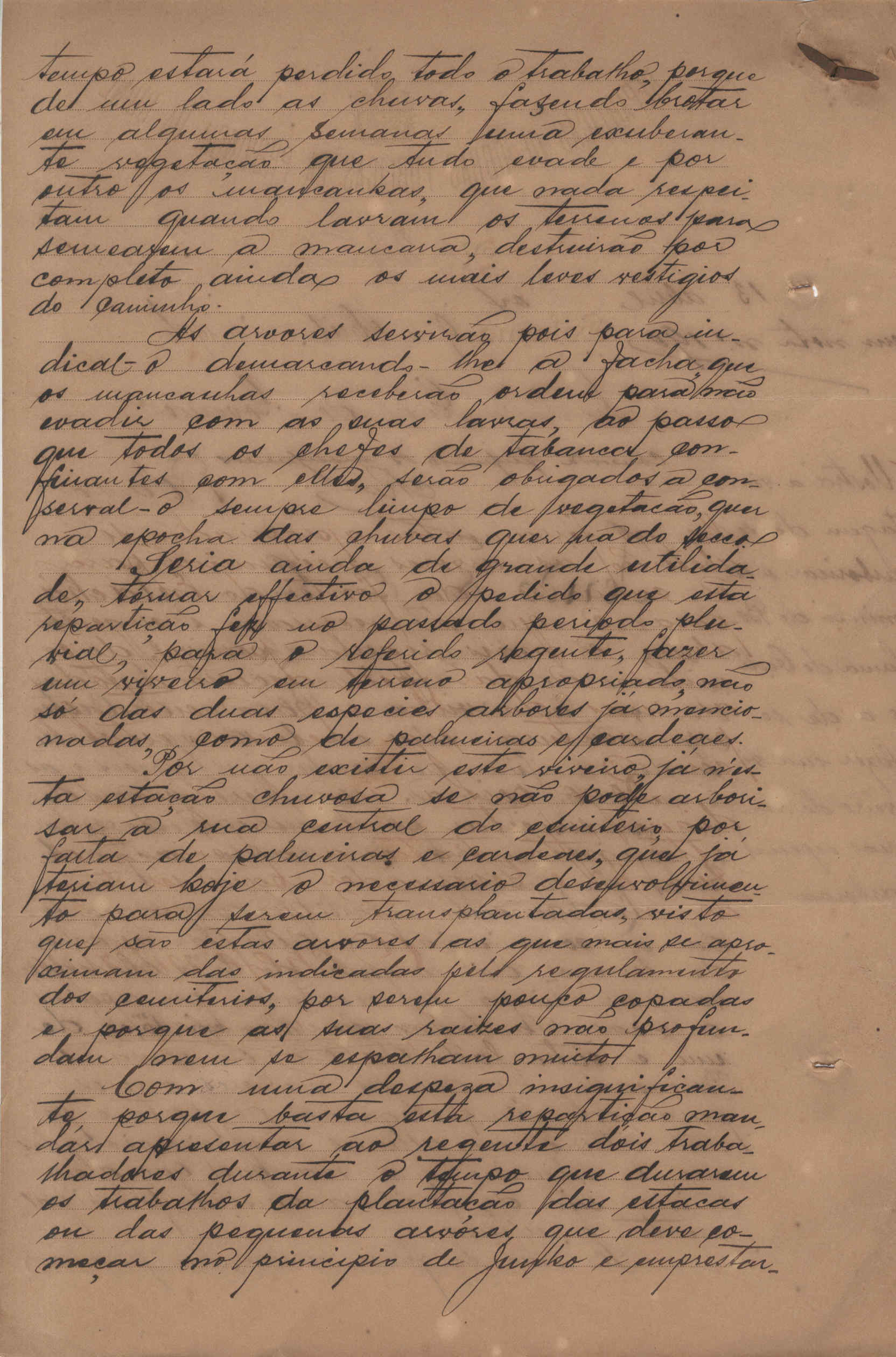 09858.013- pag.43