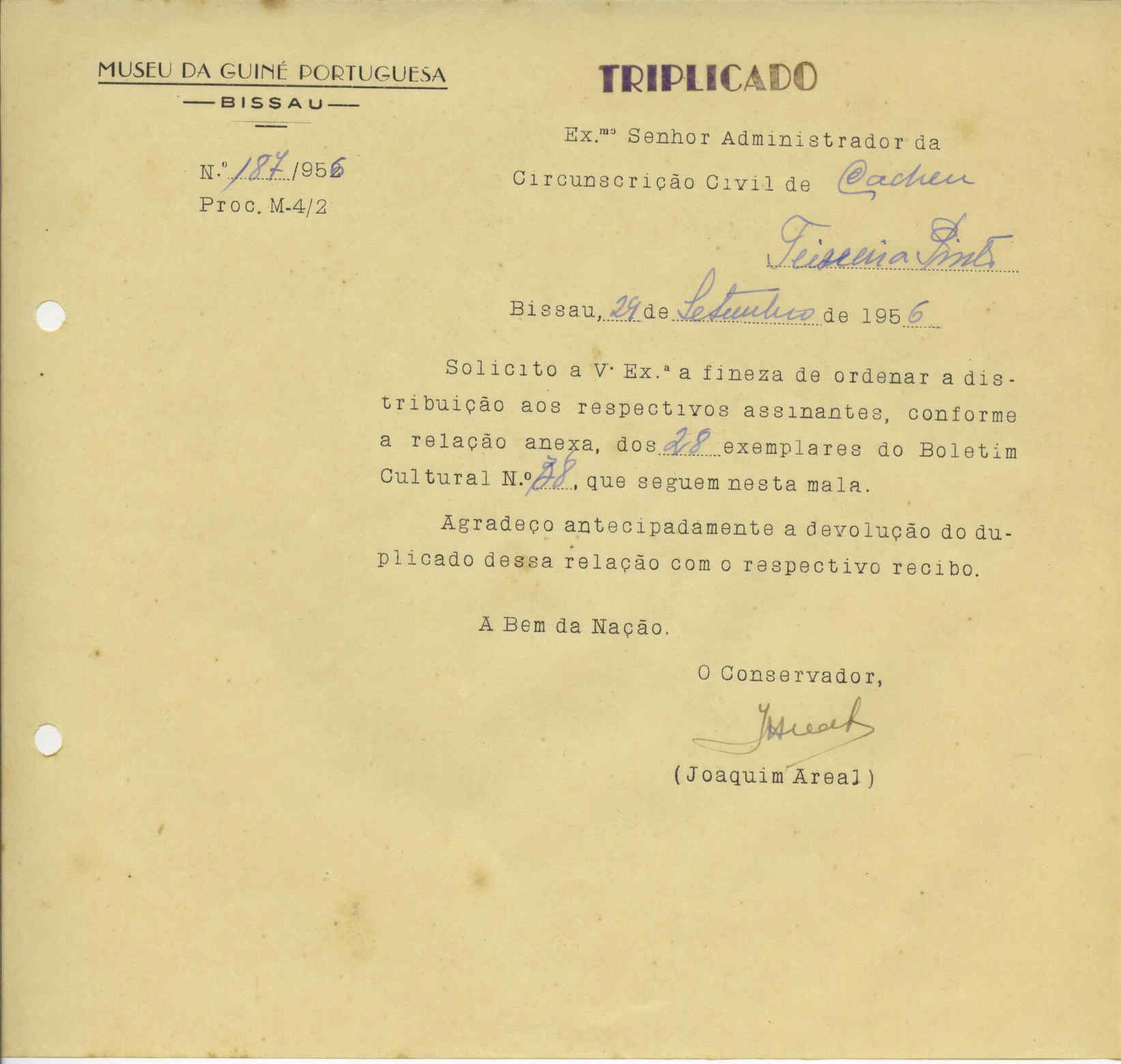 09861.044- pag.203