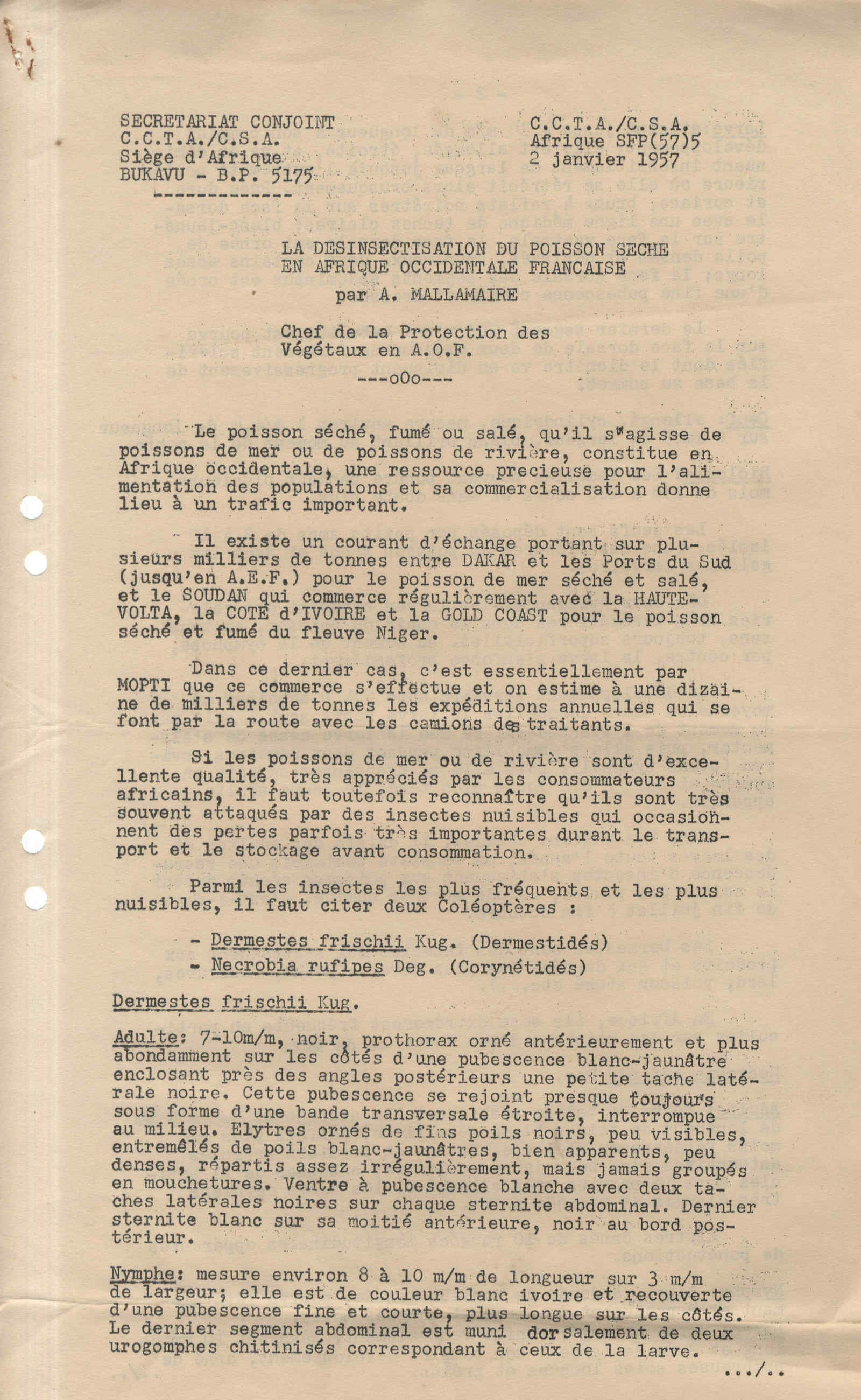 09861.061- pag.10