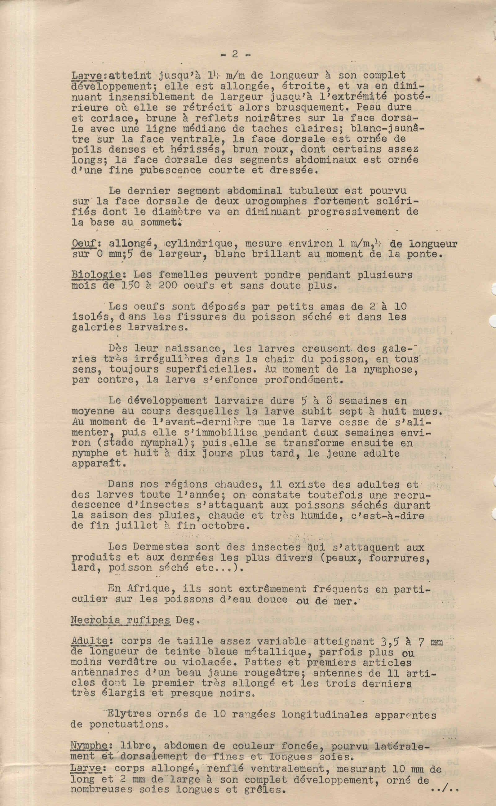 09861.061- pag.11