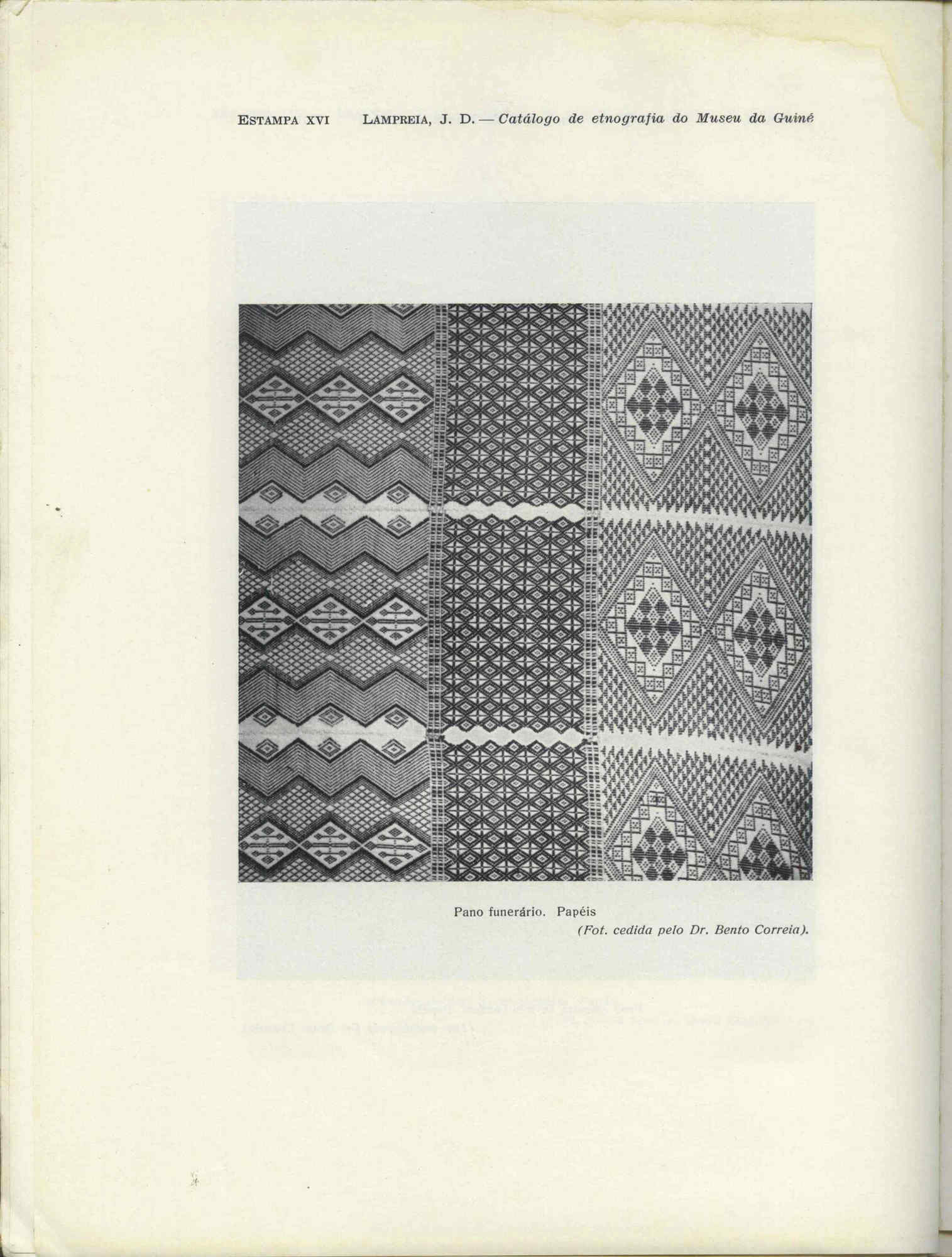 09868.028- pag.101