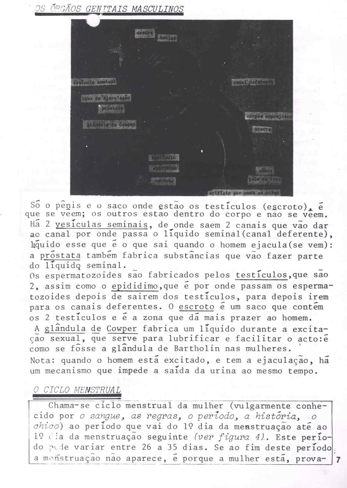 10092.006.001.085- pag.10