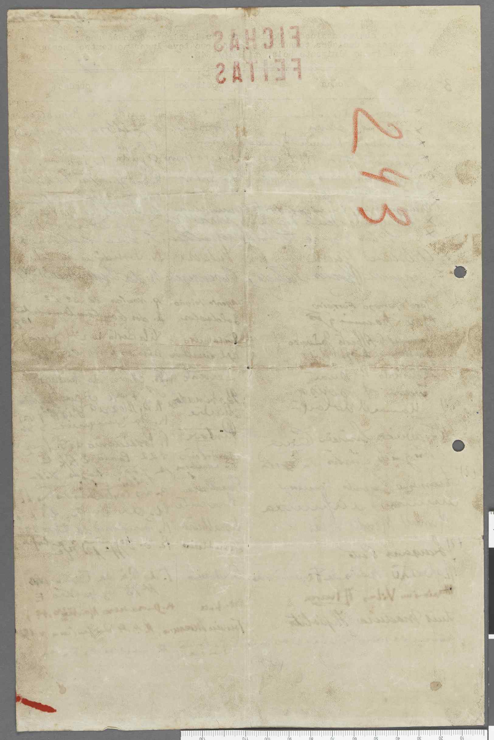10390.001- pag.494