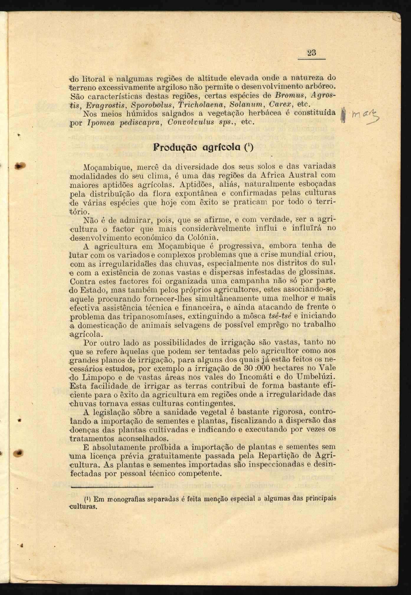 10462.004- pag.31