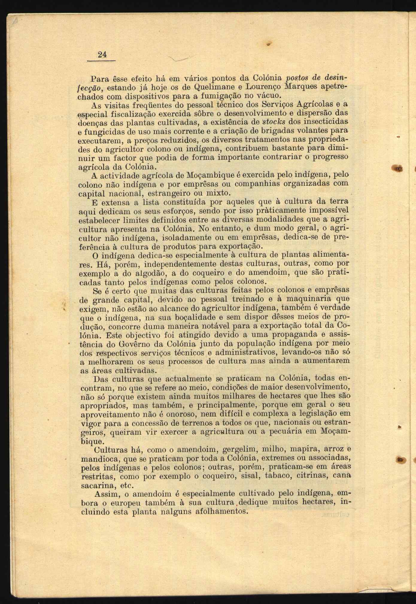 10462.004- pag.32
