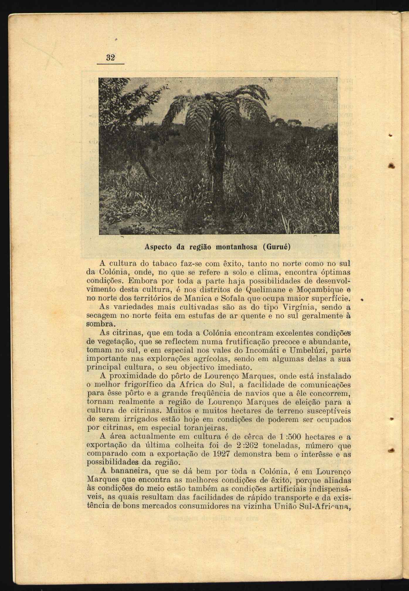 10462.004- pag.46