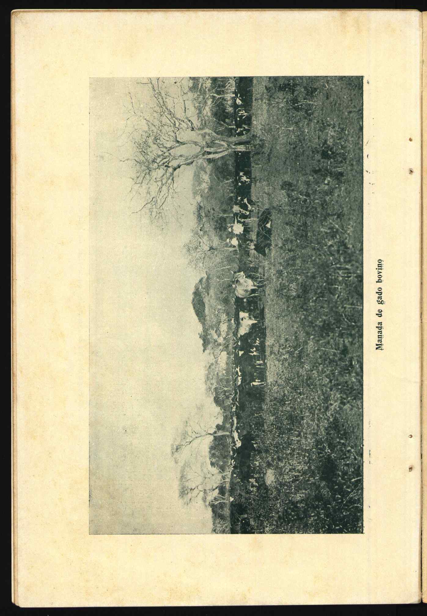 10462.004- pag.50