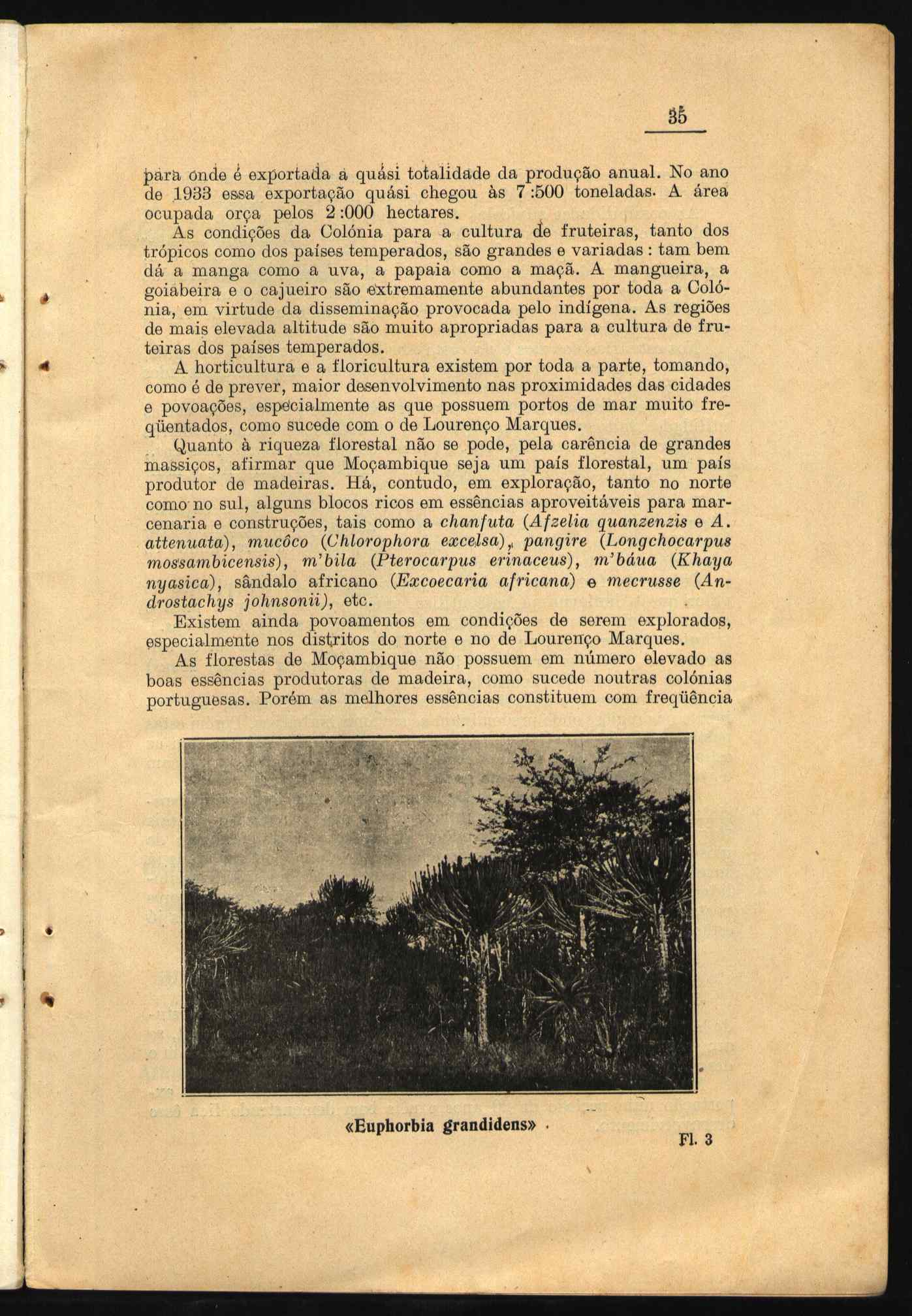 10462.004- pag.51