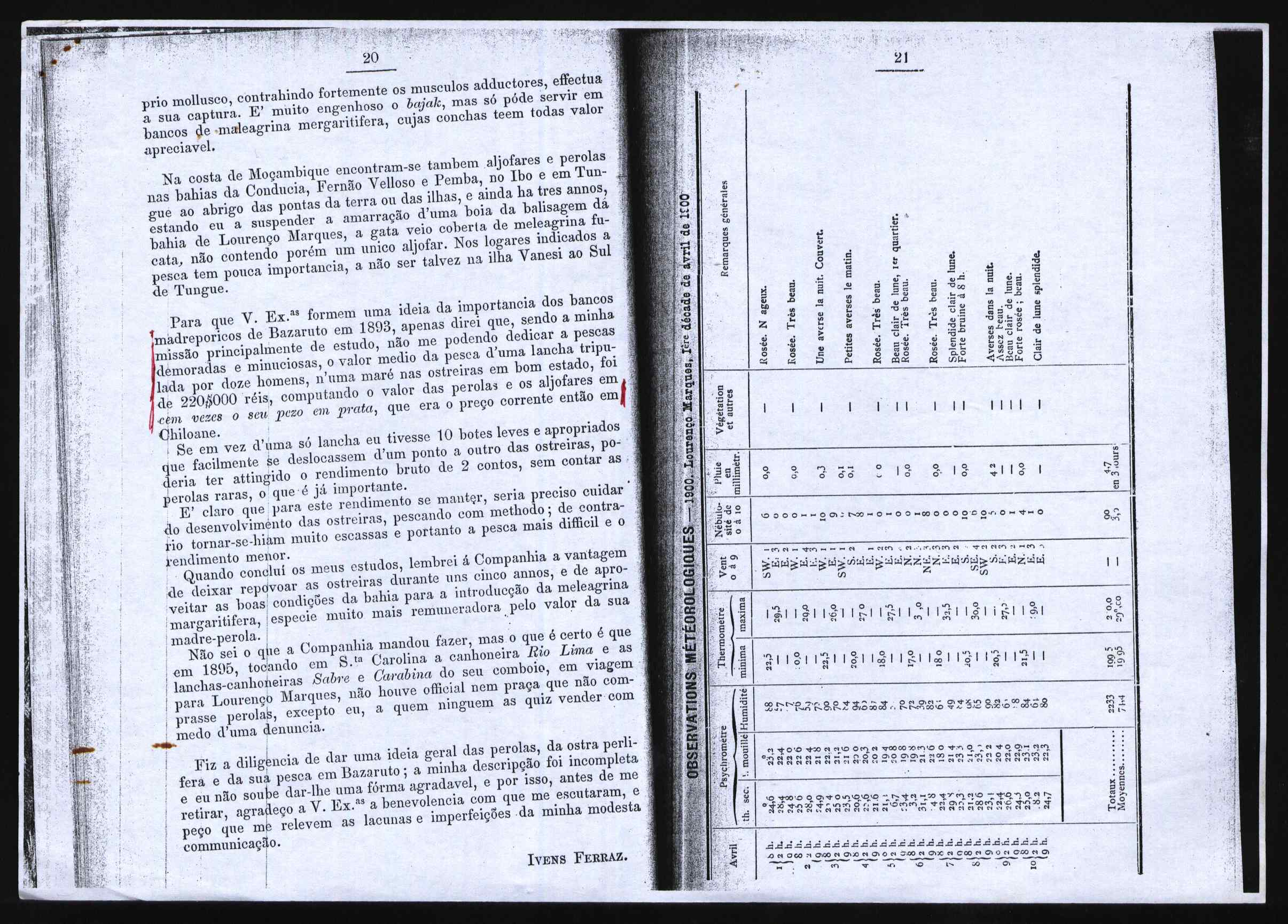 10463.026- pag.11