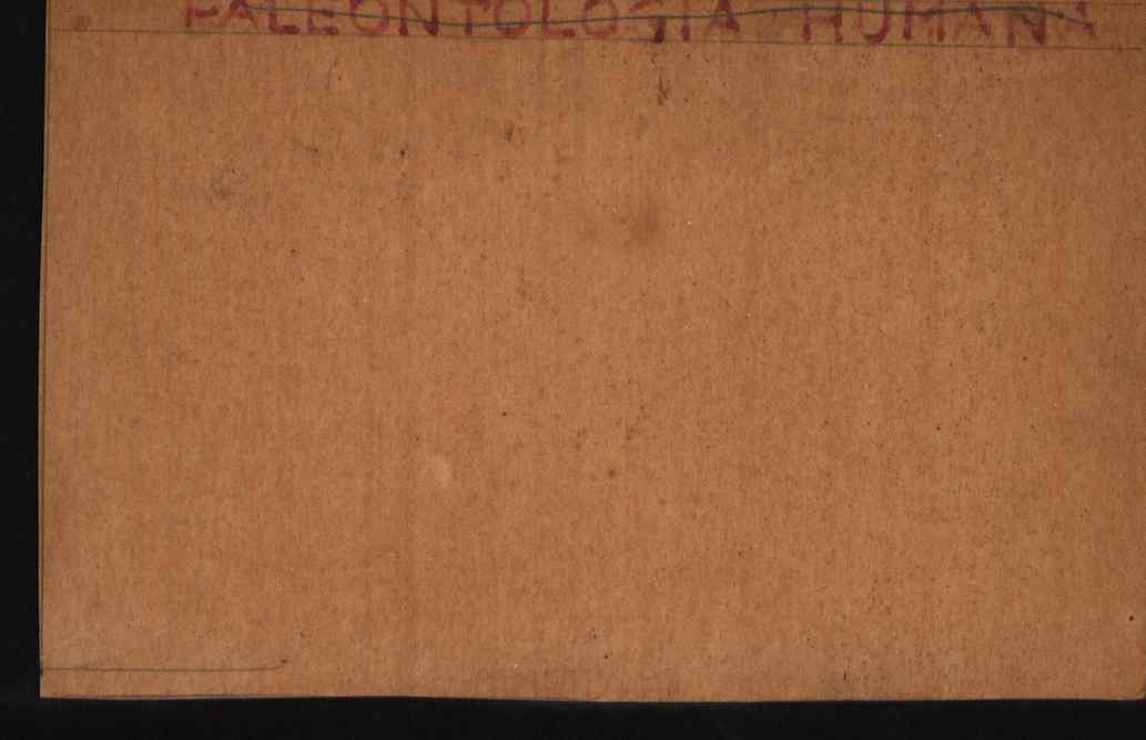 10468.008- pag.194