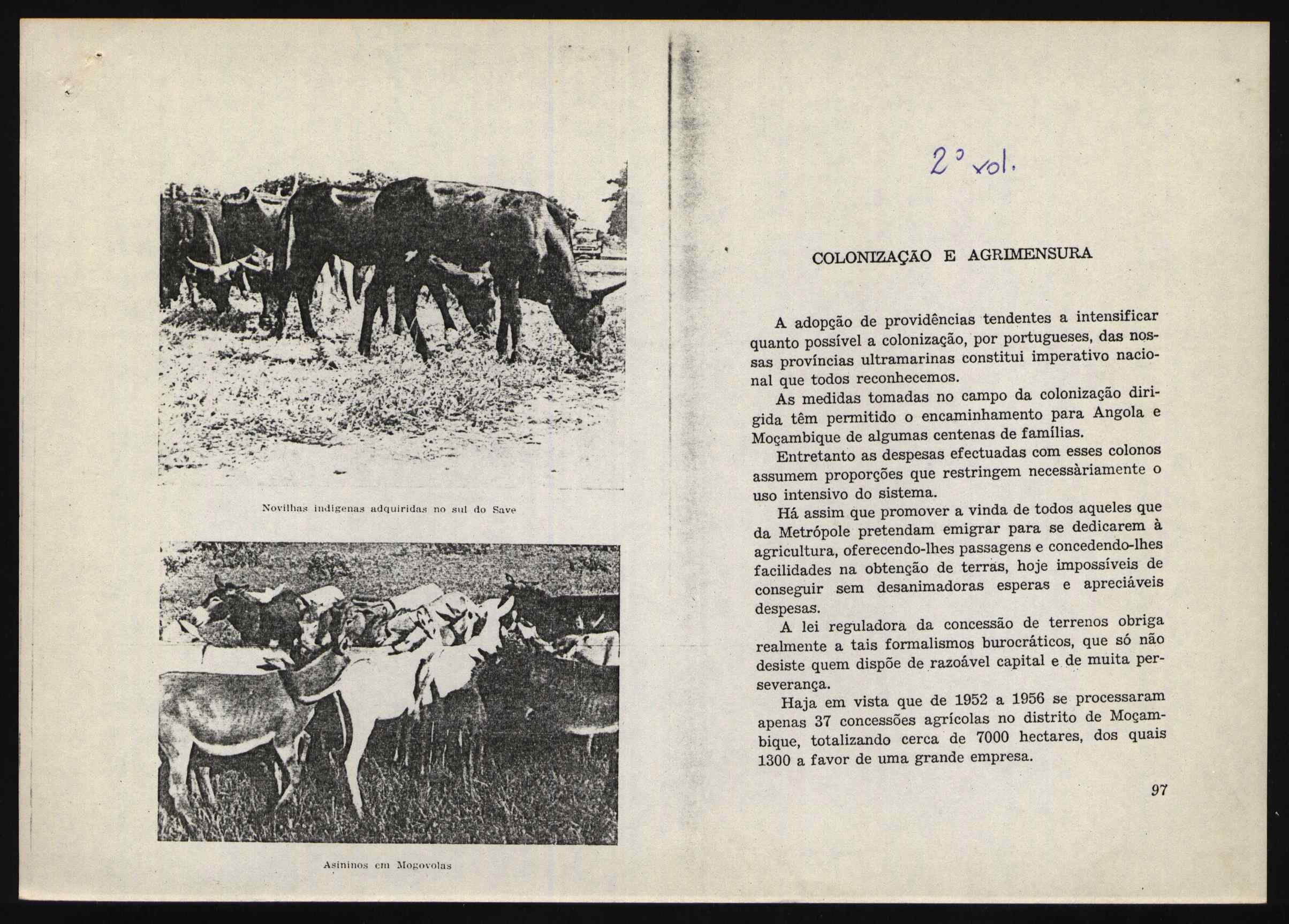 10480.003- pag.61