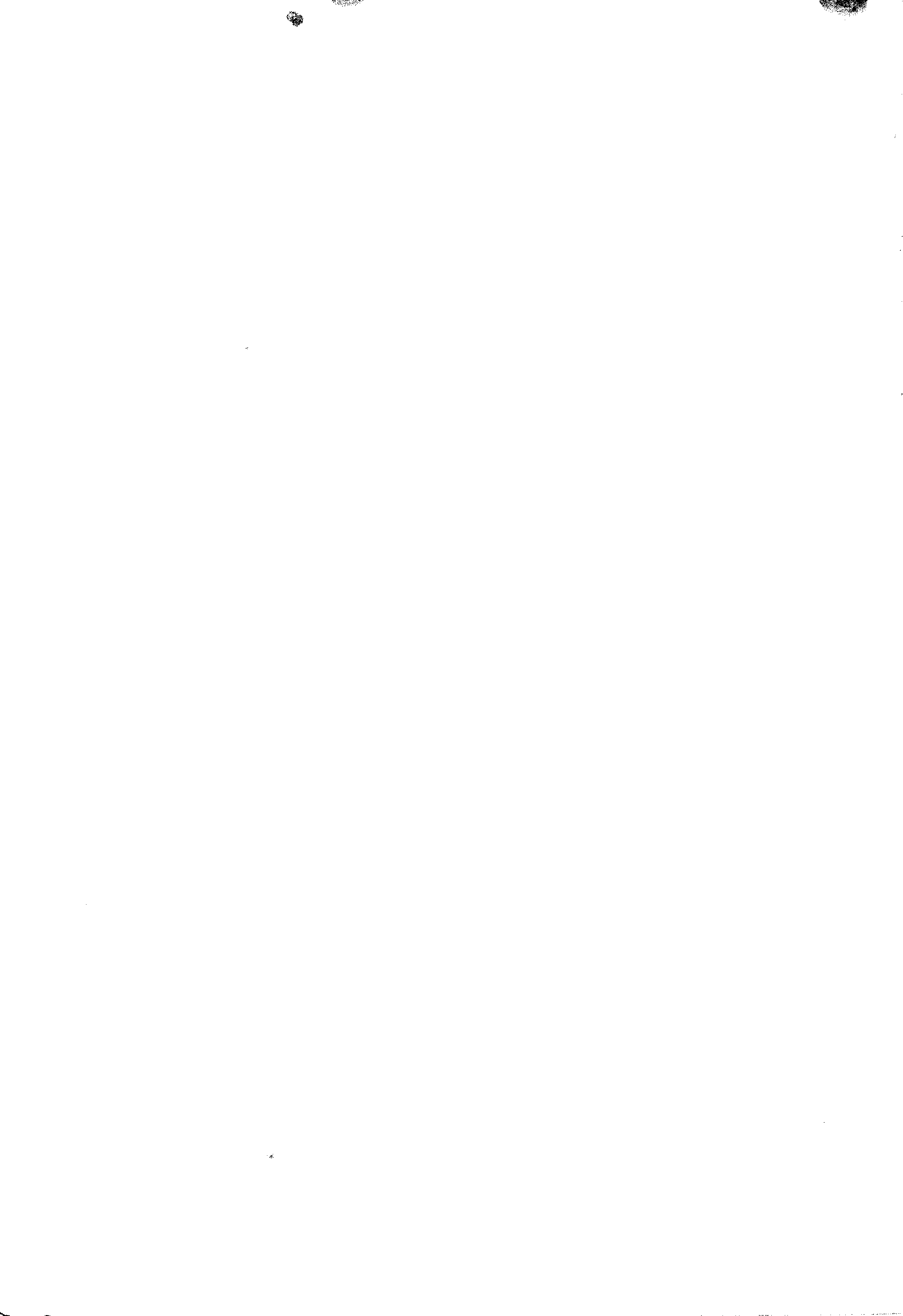 11027.121- pag.19