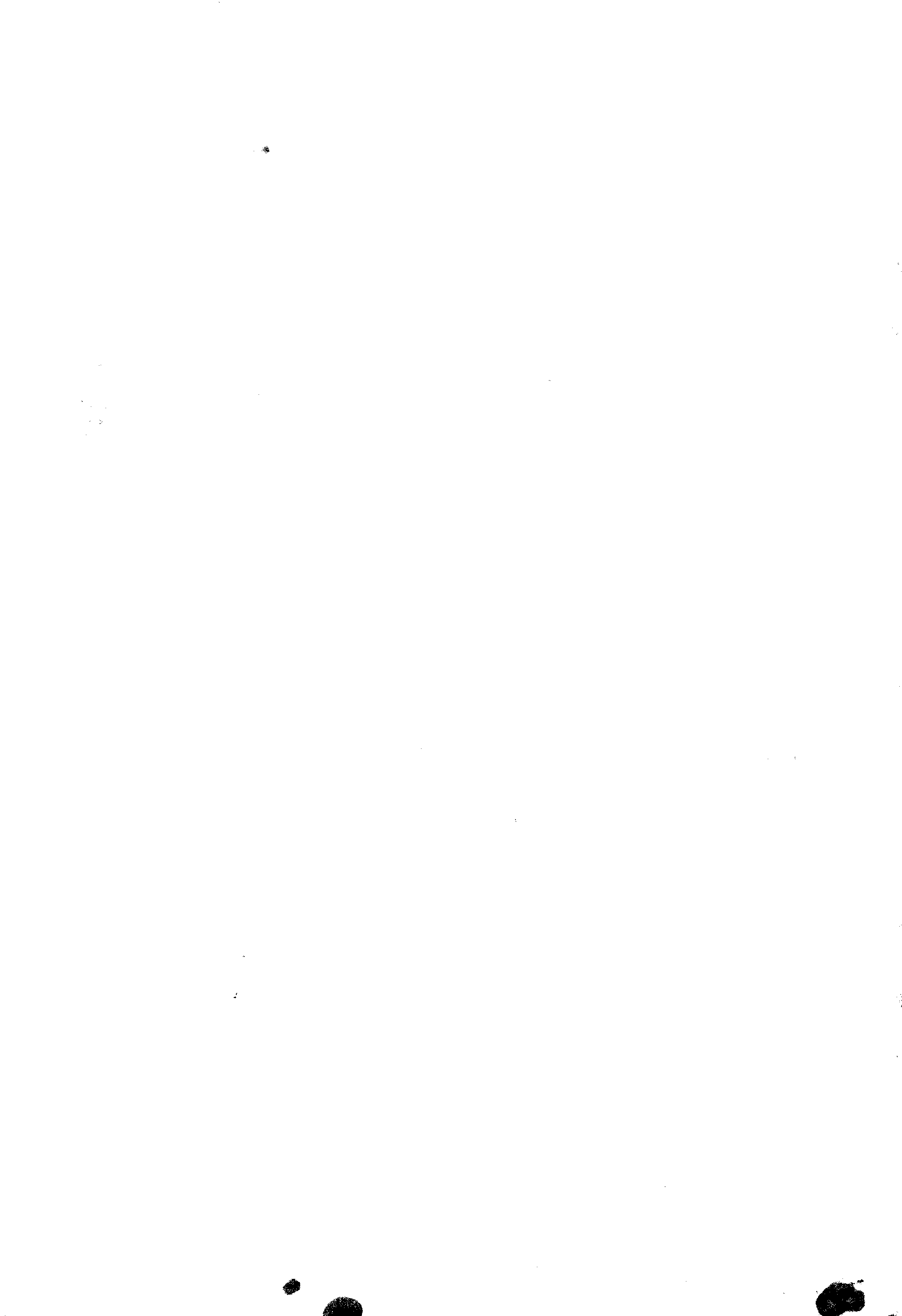 11027.121- pag.20