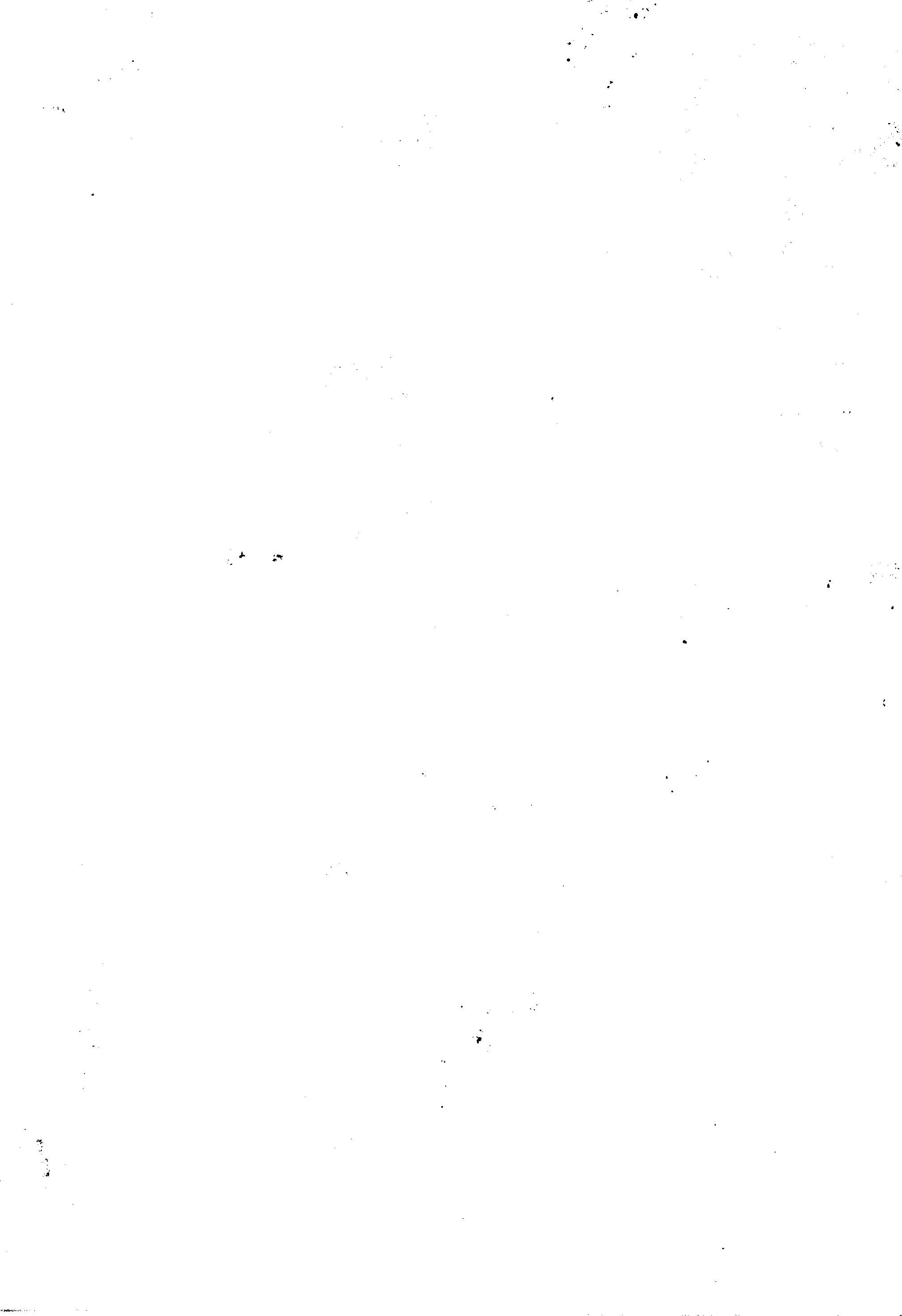 11027.121- pag.26