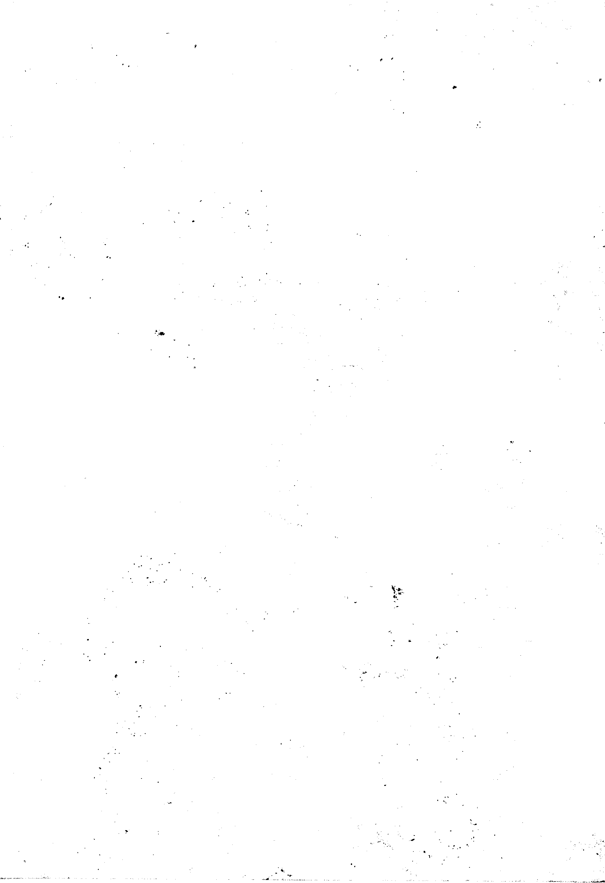 11027.121- pag.28