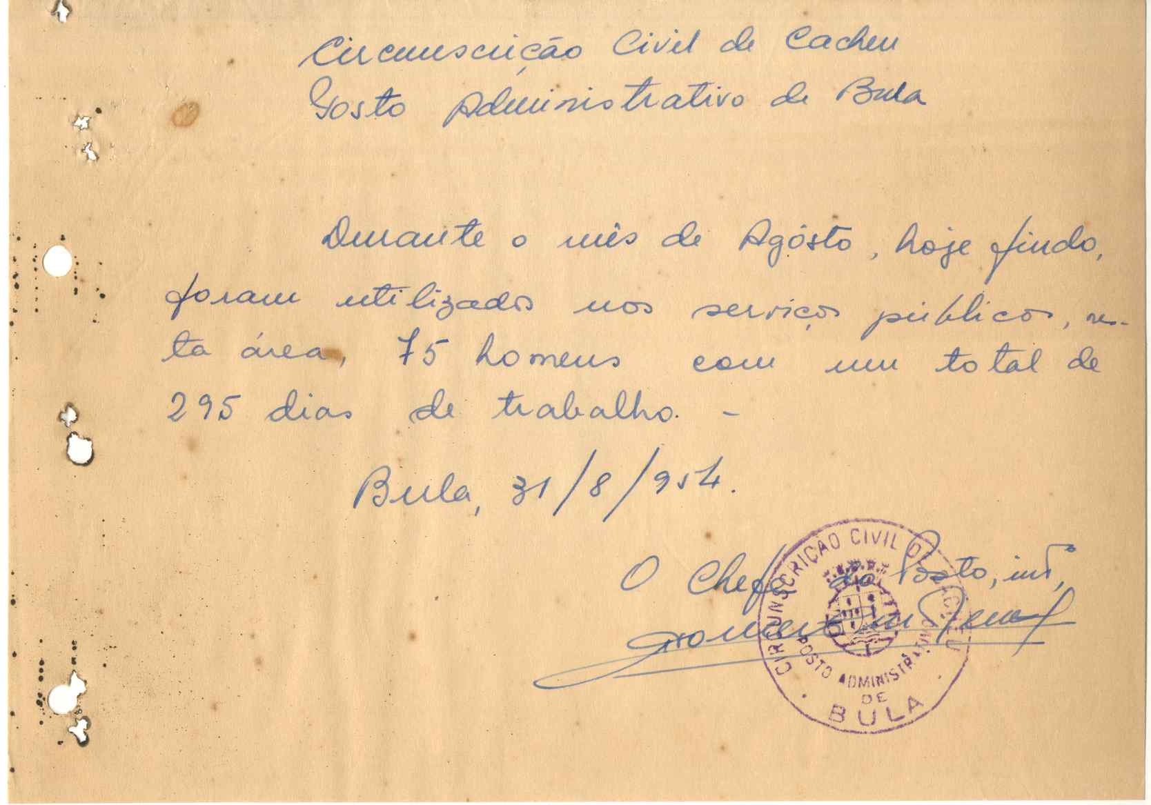 11186.003- pag.243