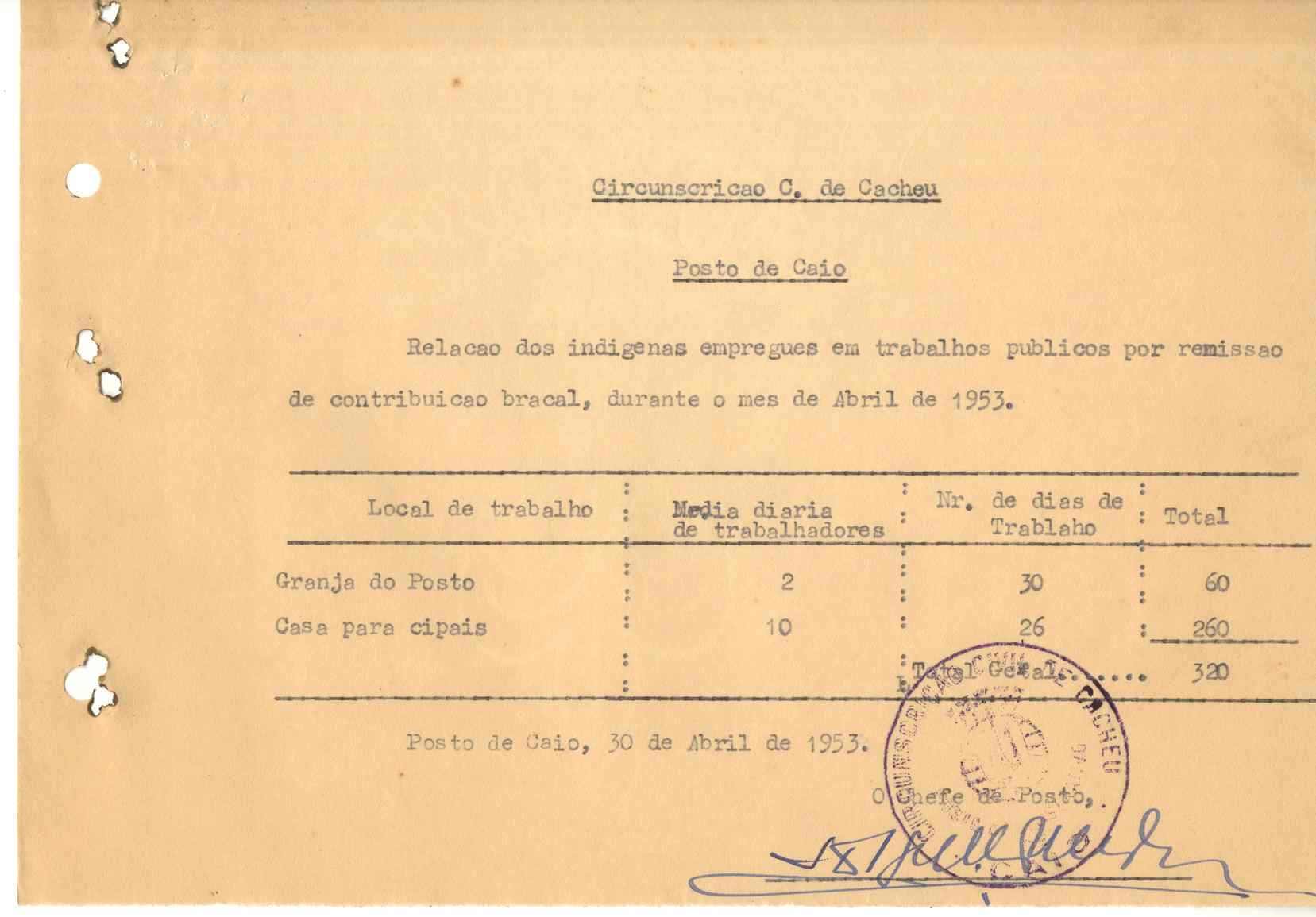 11186.003- pag.312