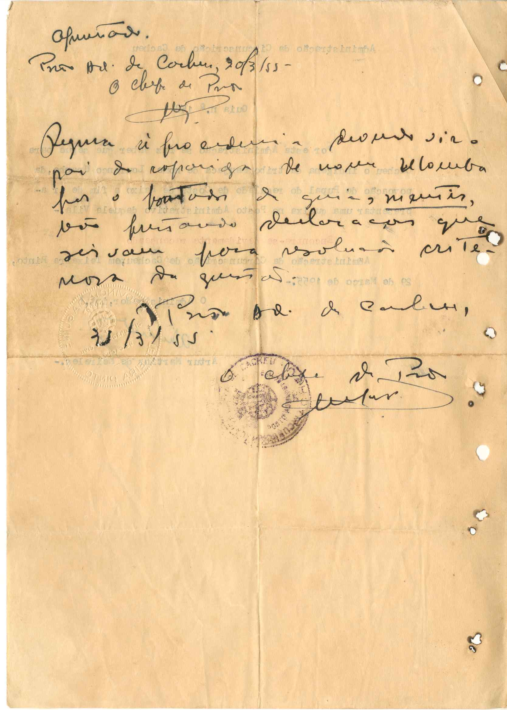 11186.003- pag.338