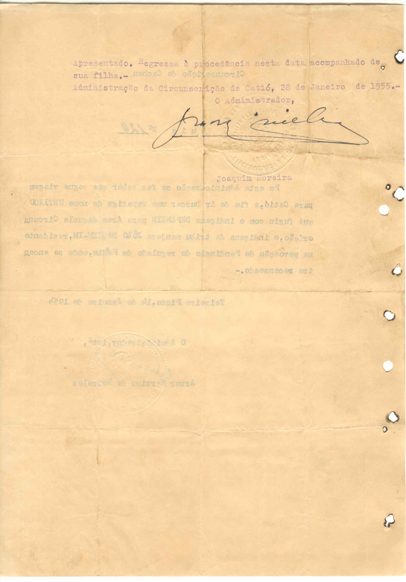 11186.003- pag.359