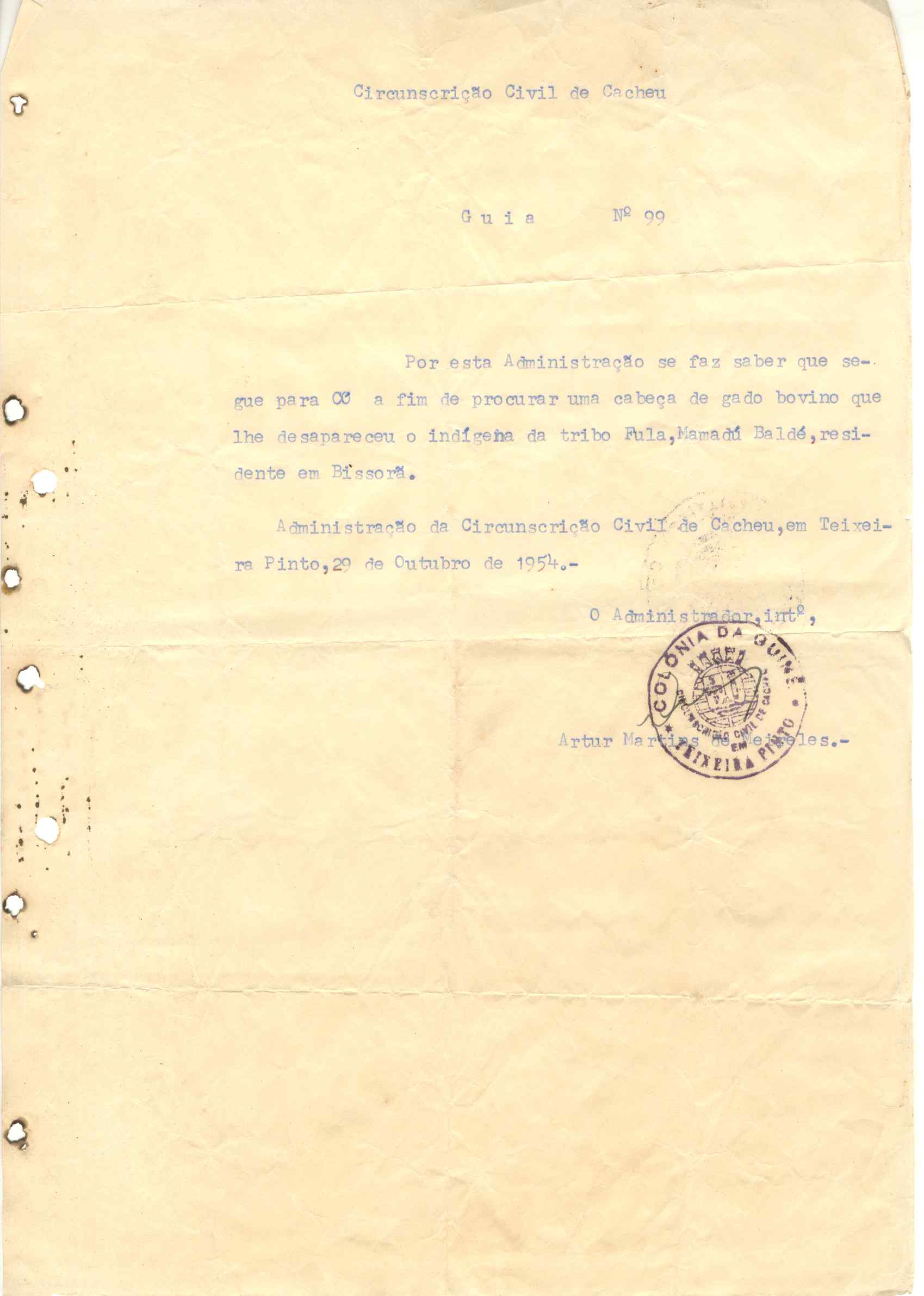 11186.003- pag.384