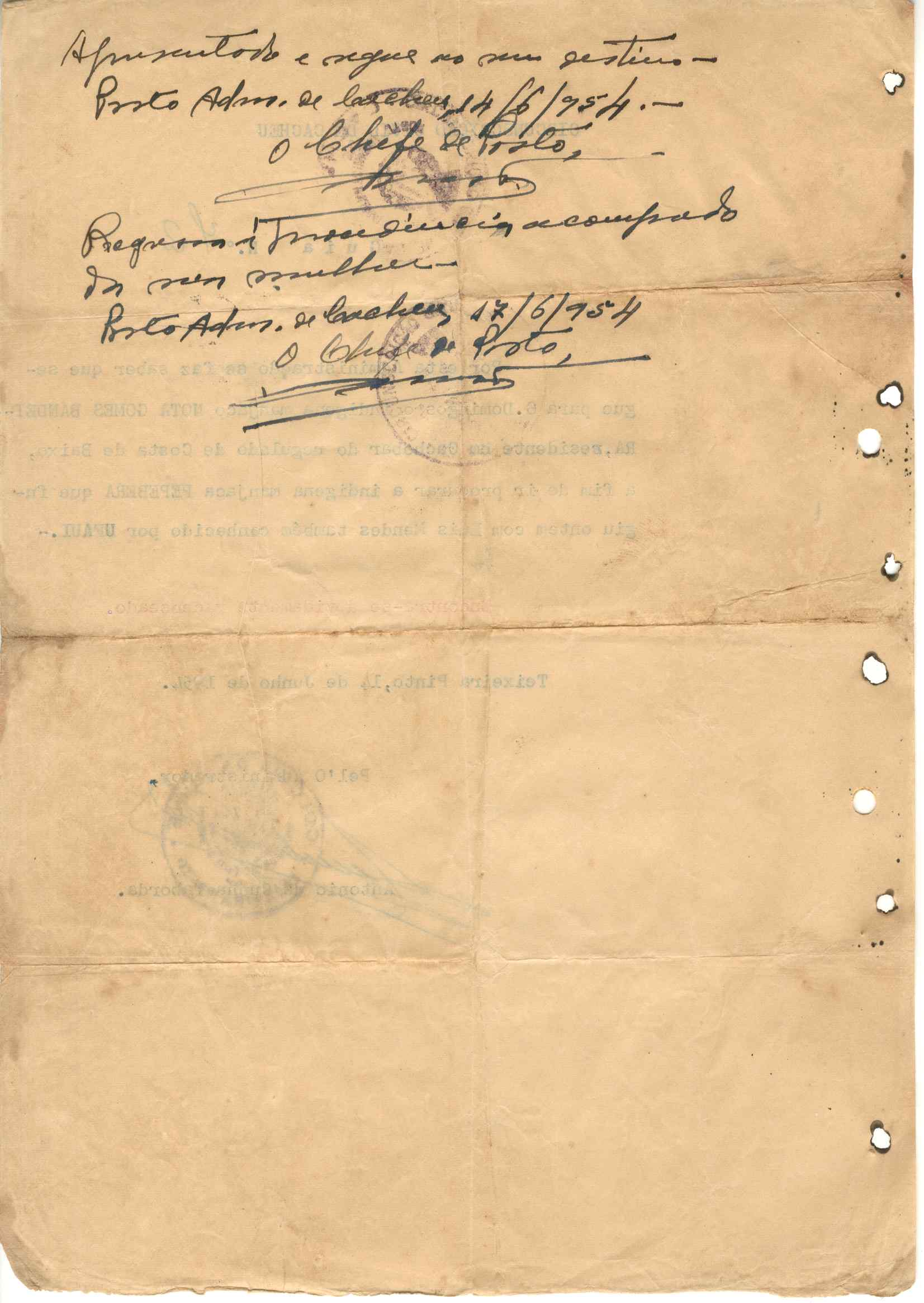 11186.003- pag.397