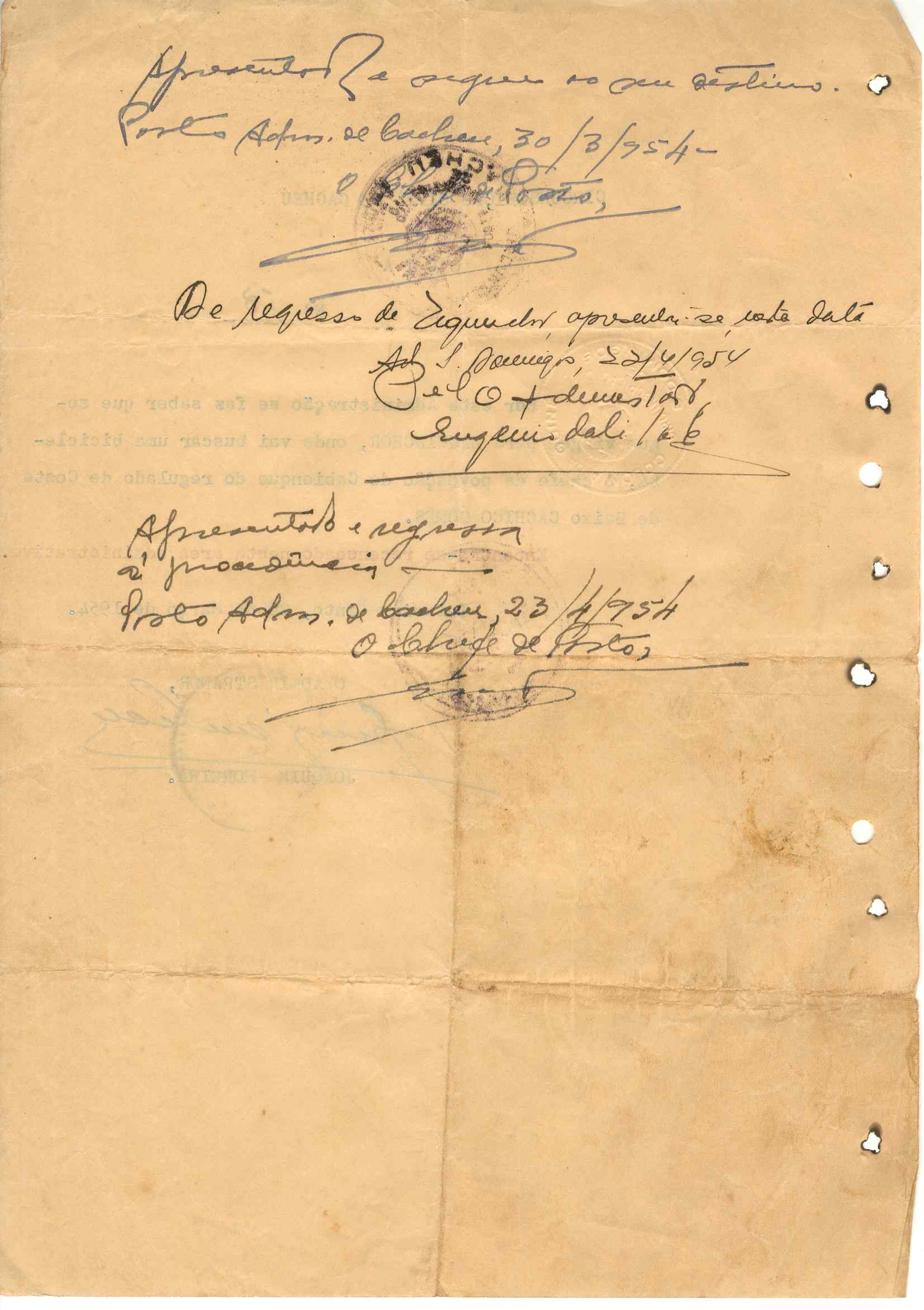 11186.003- pag.407