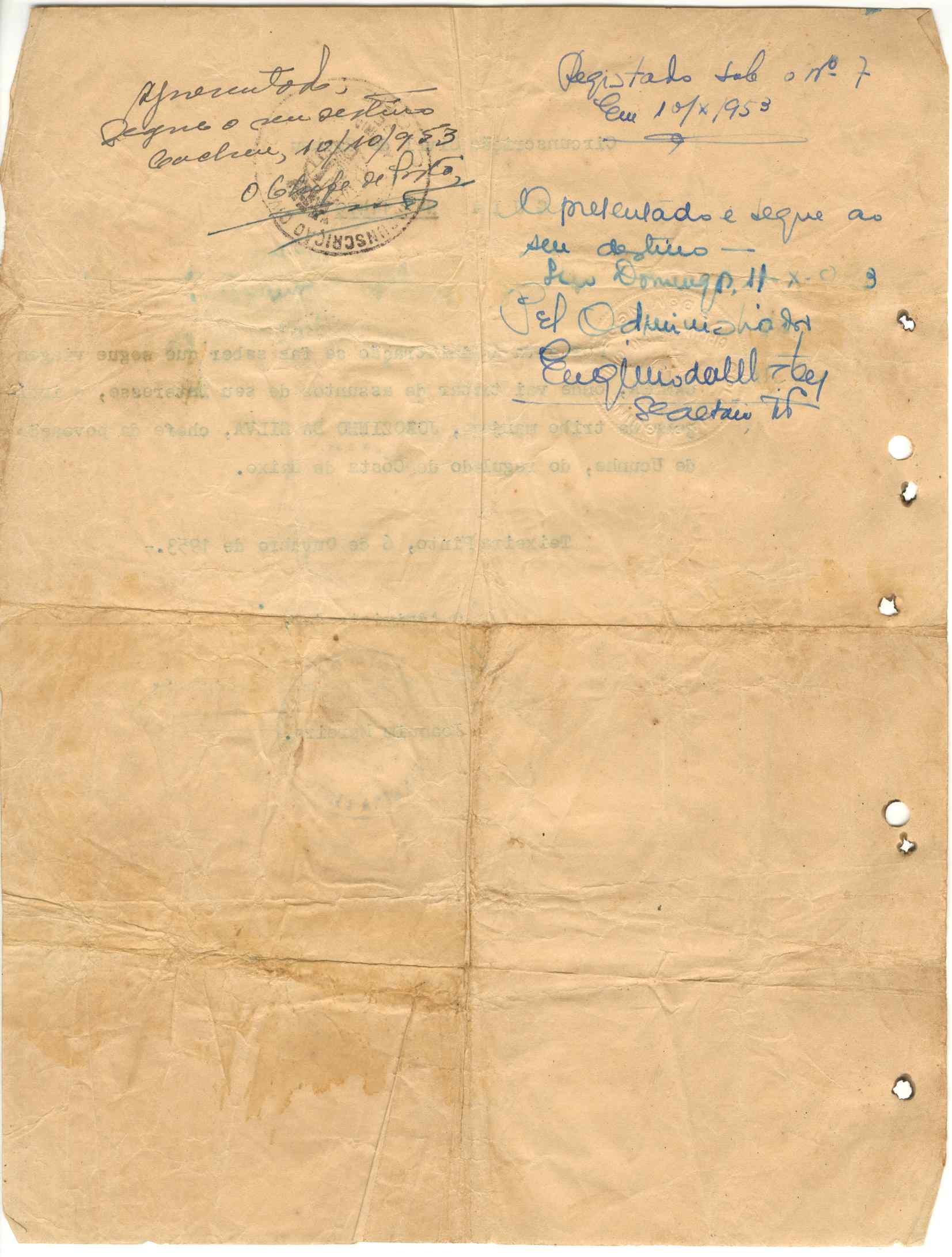 11186.003- pag.431