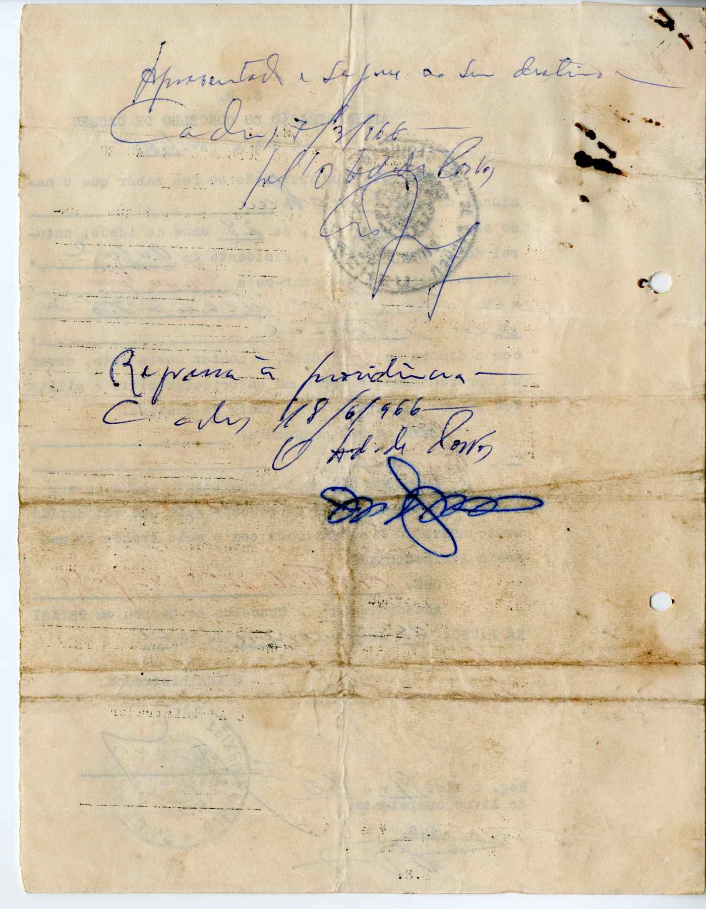 11186.009- pag.184
