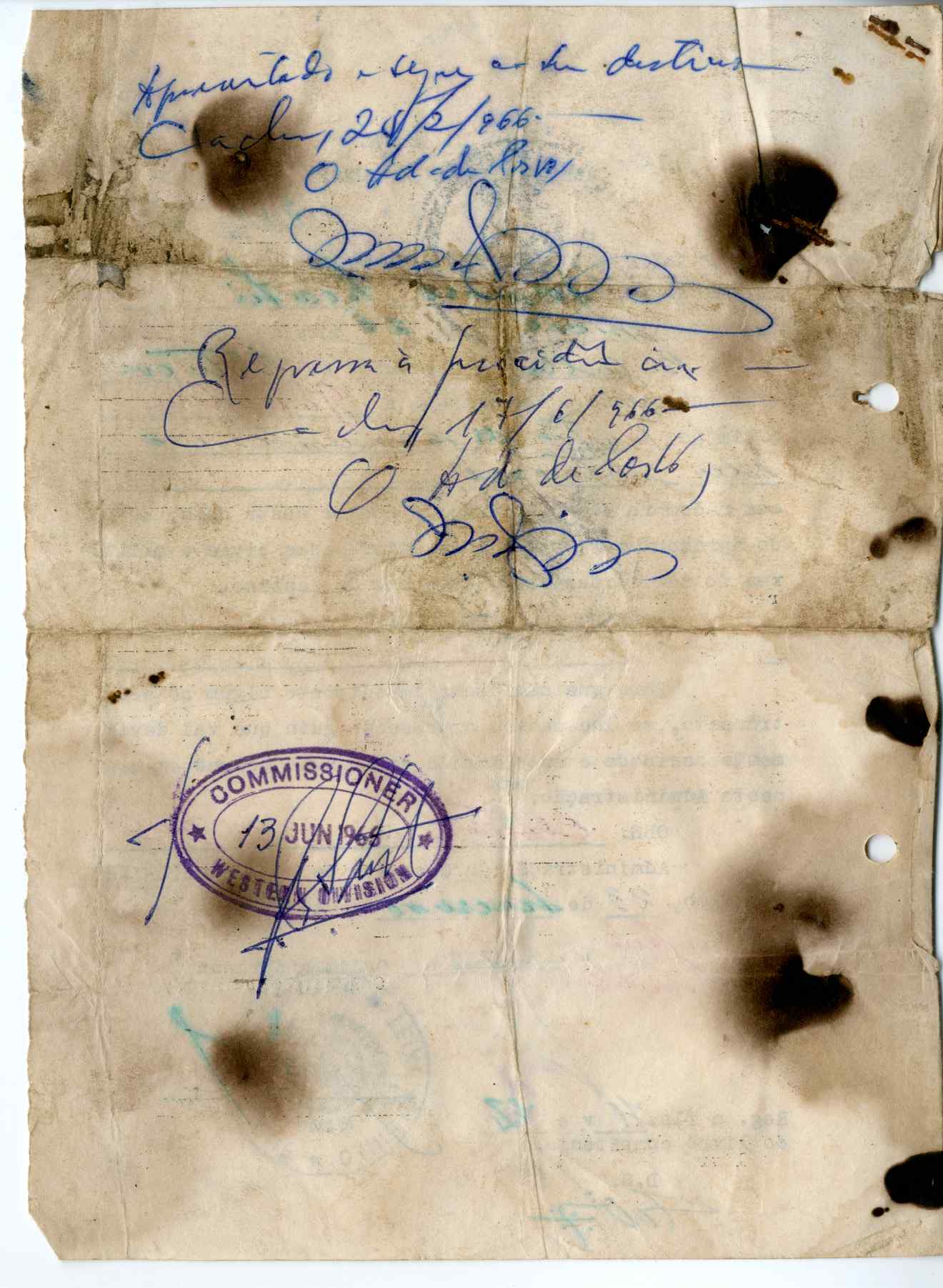 11186.009- pag.186