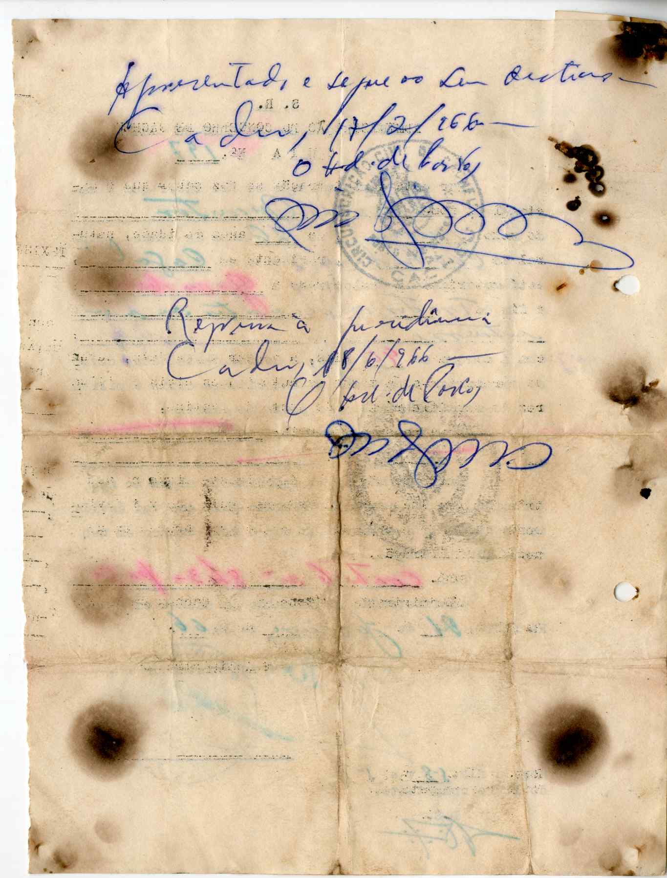 11186.009- pag.194